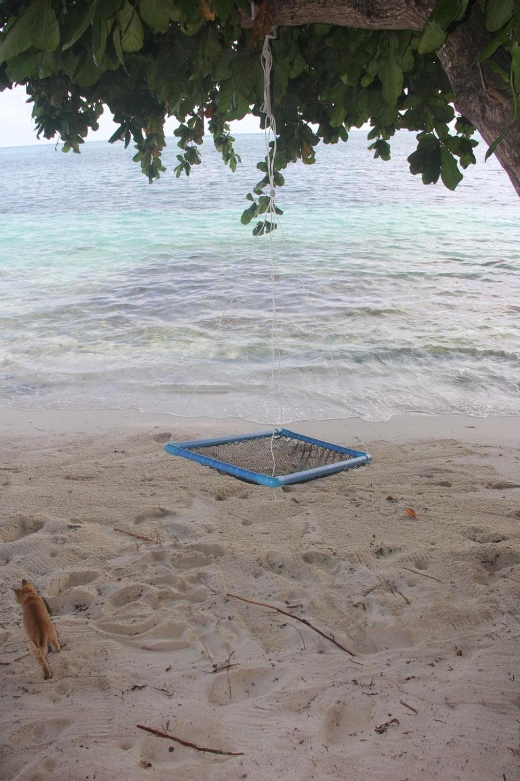 Isla Retreat - View 28