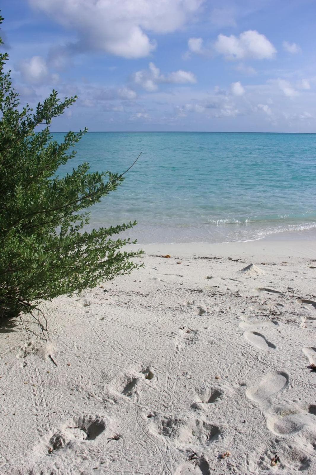 Isla Retreat - View 30