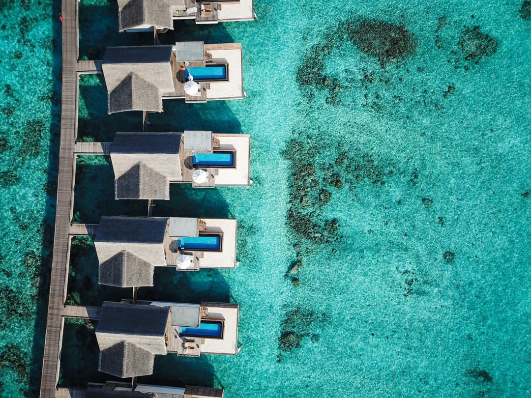 Sirru Fen Fushi Private Lagoon Resort Maldives - View 53