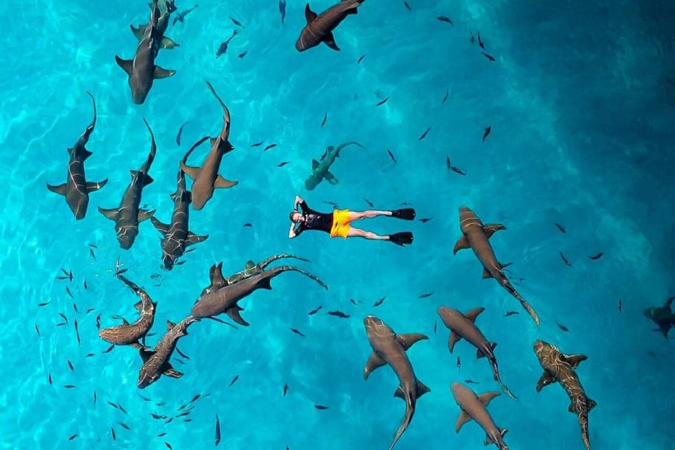 Crown Beach Villas -Private Beach - View 2