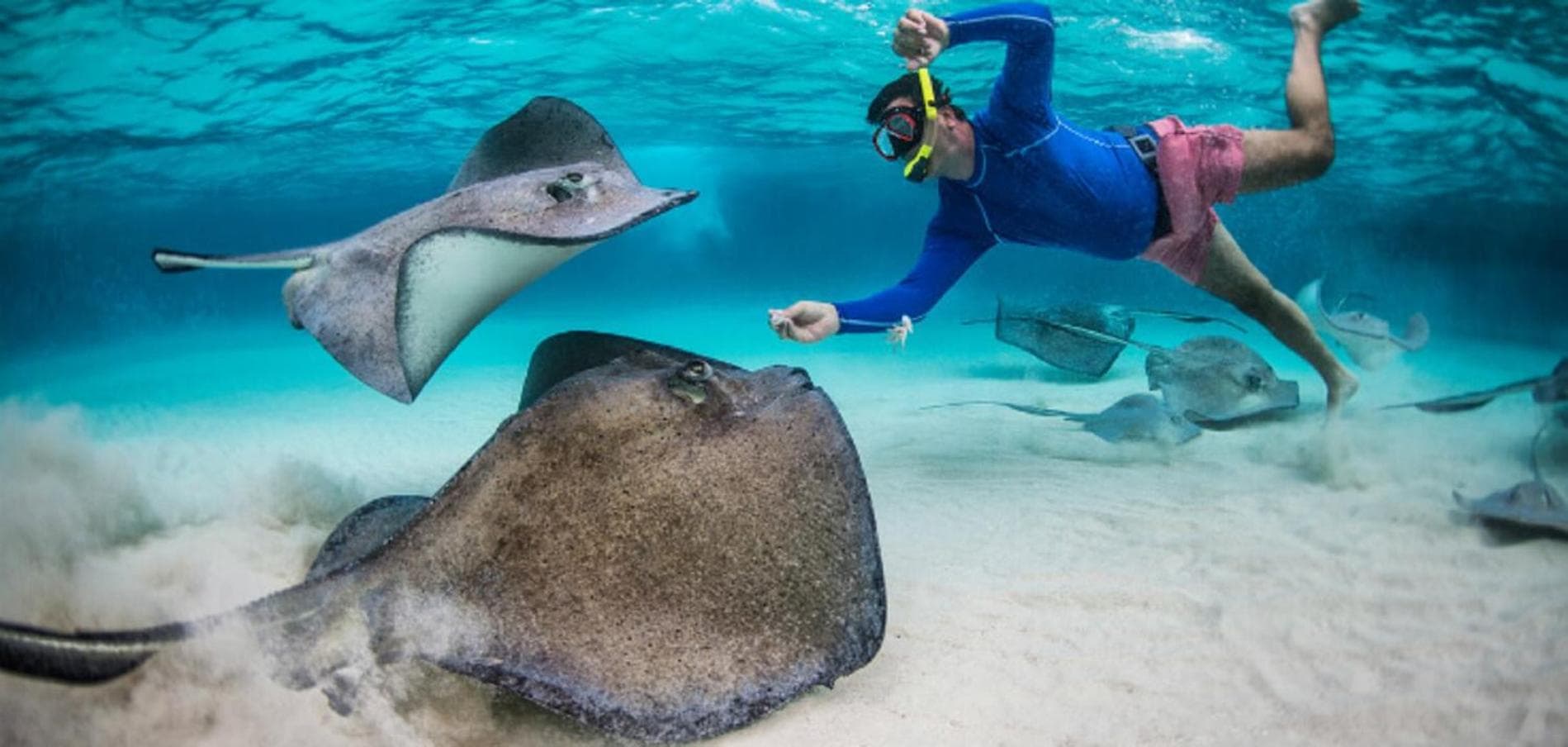 Crown Beach Villas -Private Beach - View 19