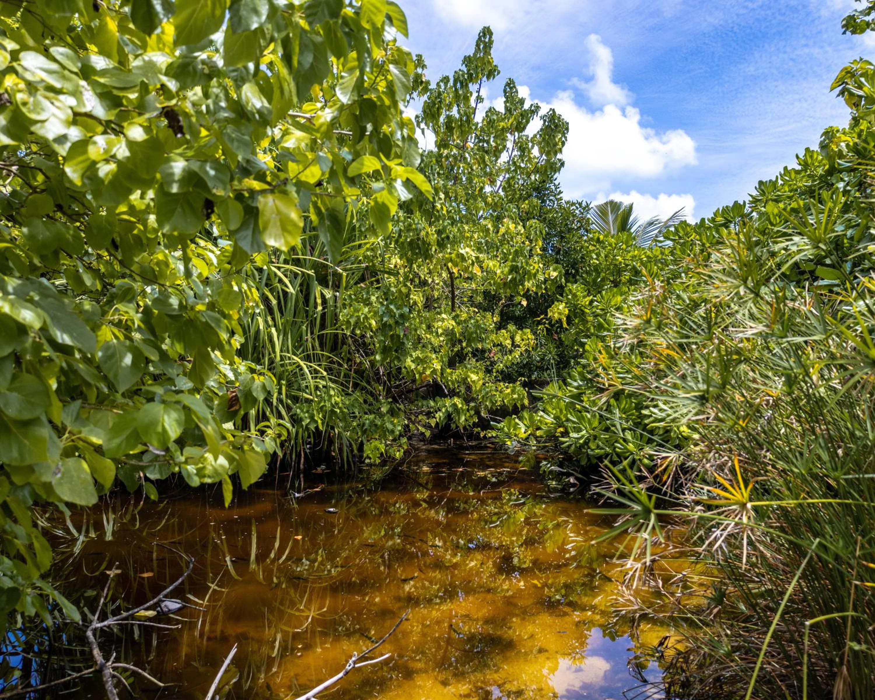 Fushi Beach Guesthouse - View 37
