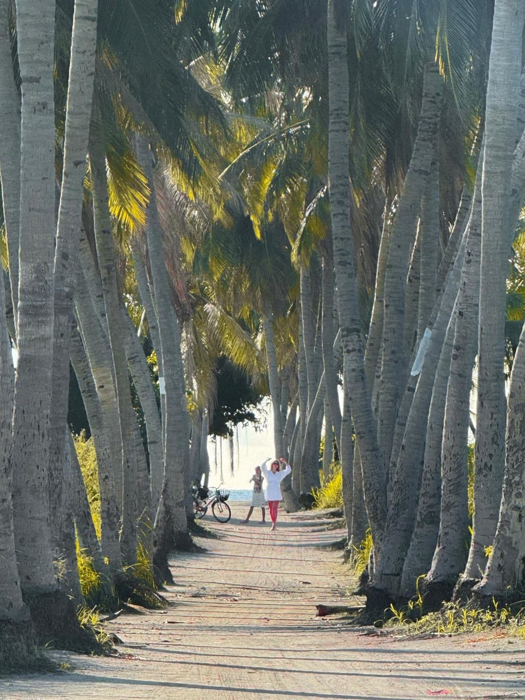 Blue Coral Thoddoo - View 8