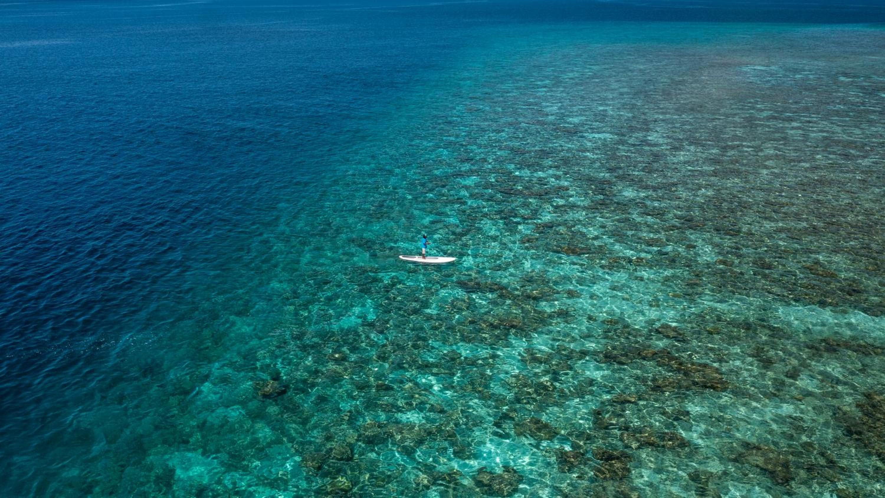 Plumeria Maldives - View 95