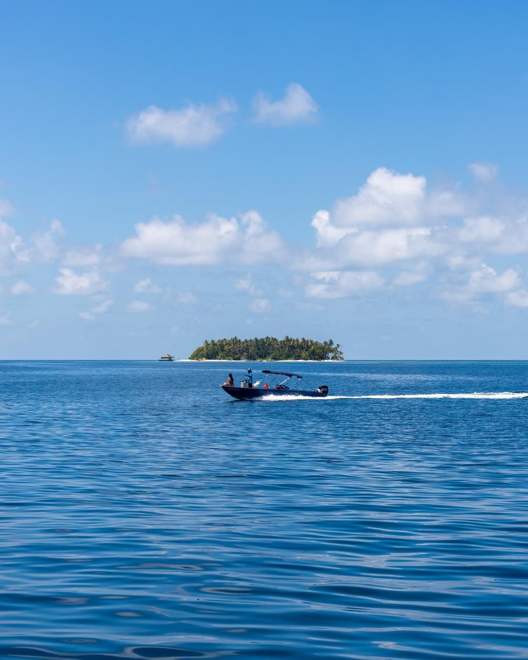 Plumeria Maldives - View 75