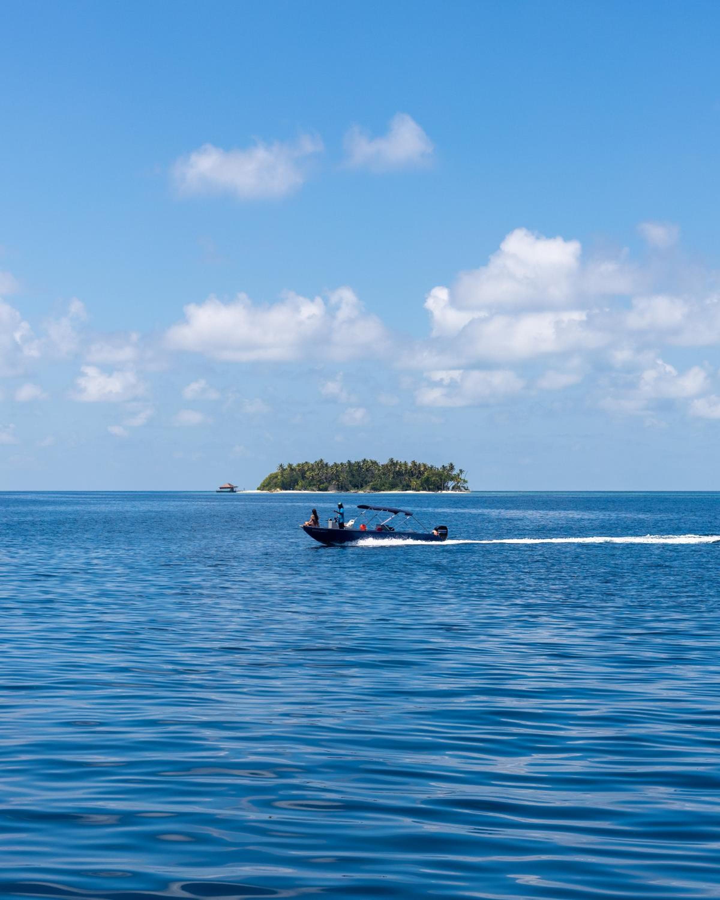Plumeria Maldives - View 101