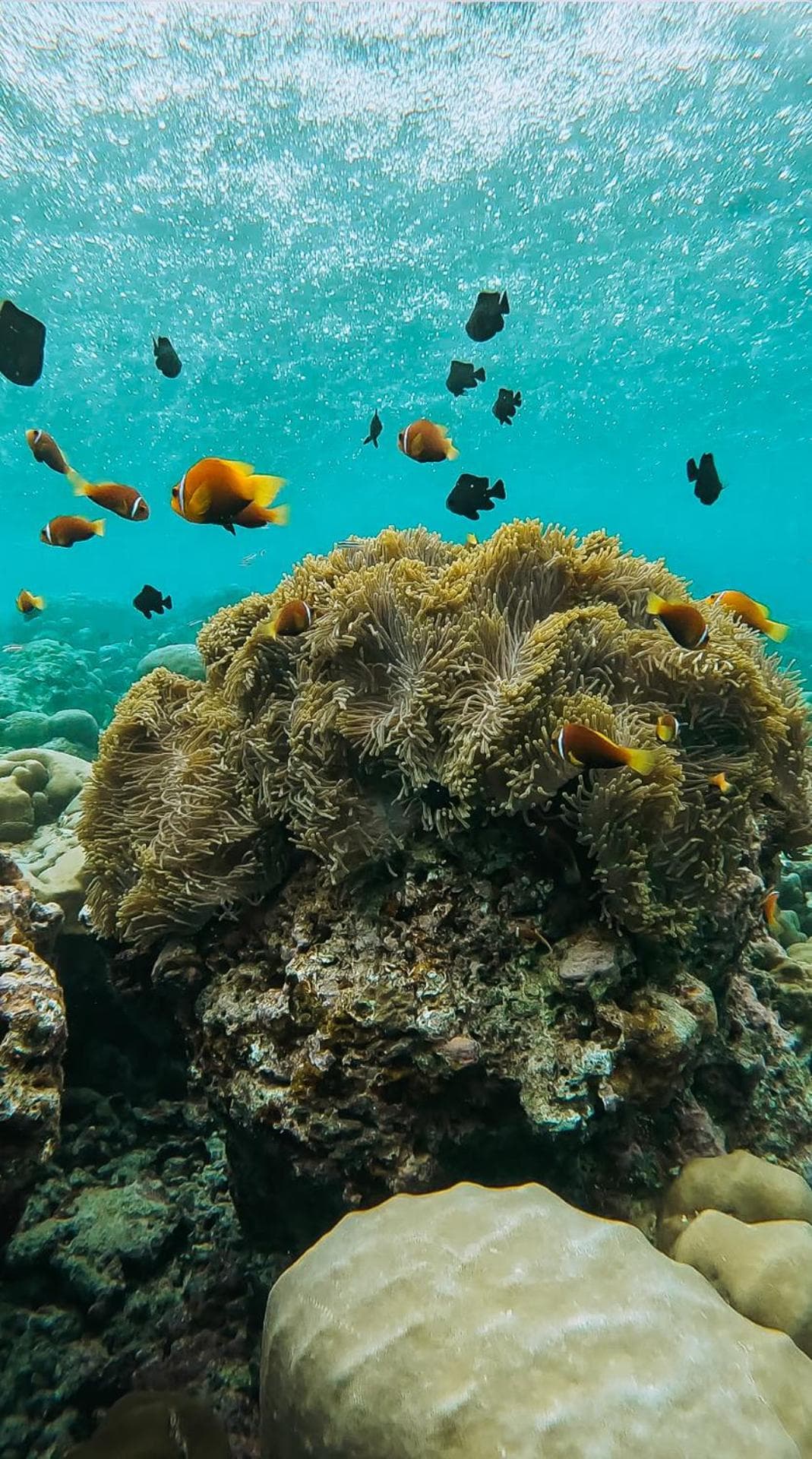 Thundi Village & Spa - View 74