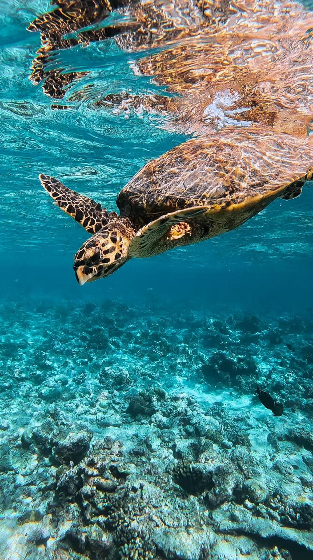 Thundi Village & Spa - View 75