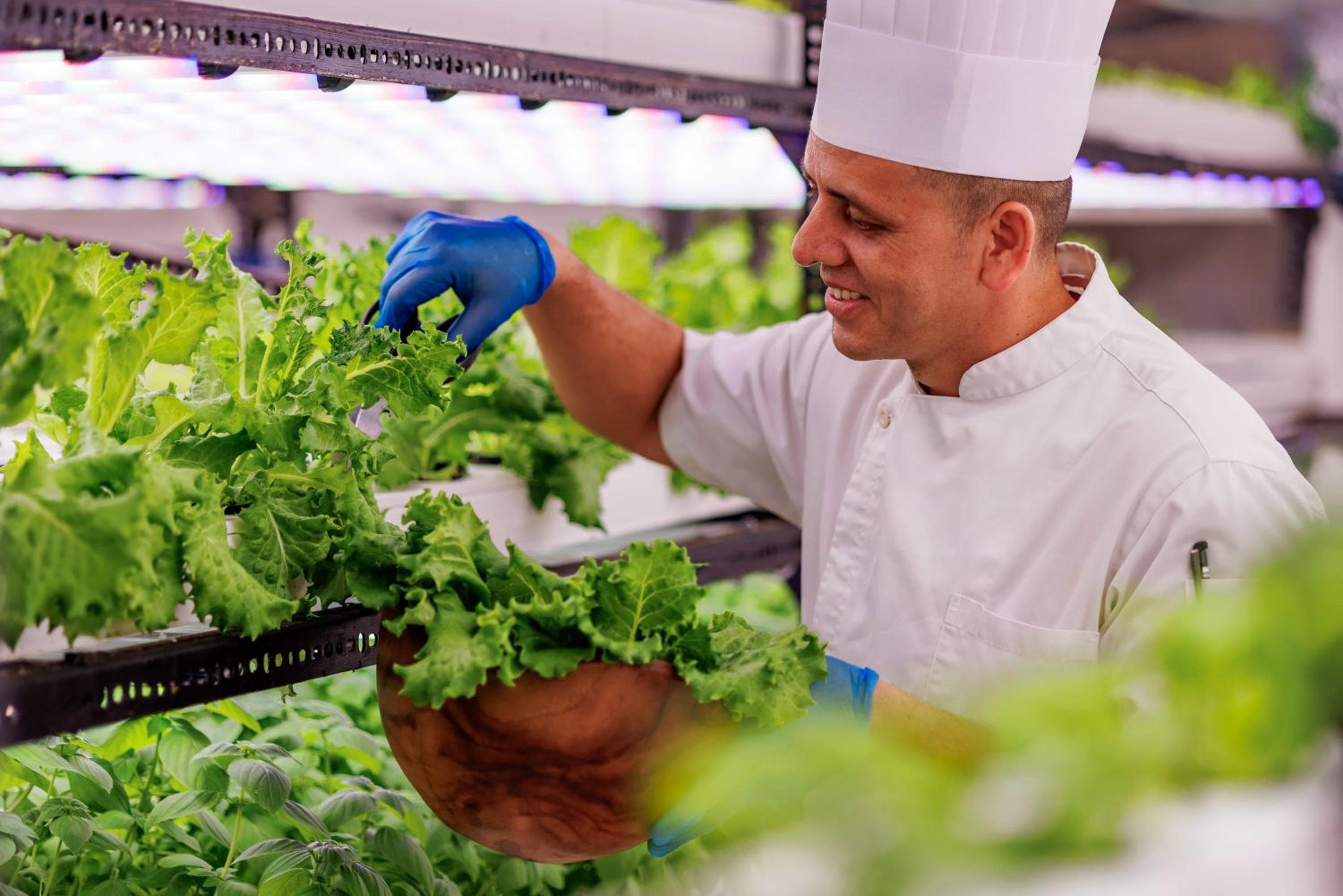 OZEN LIFE MAADHOO - Luxury All Inclusive with Free Transfers - View 52