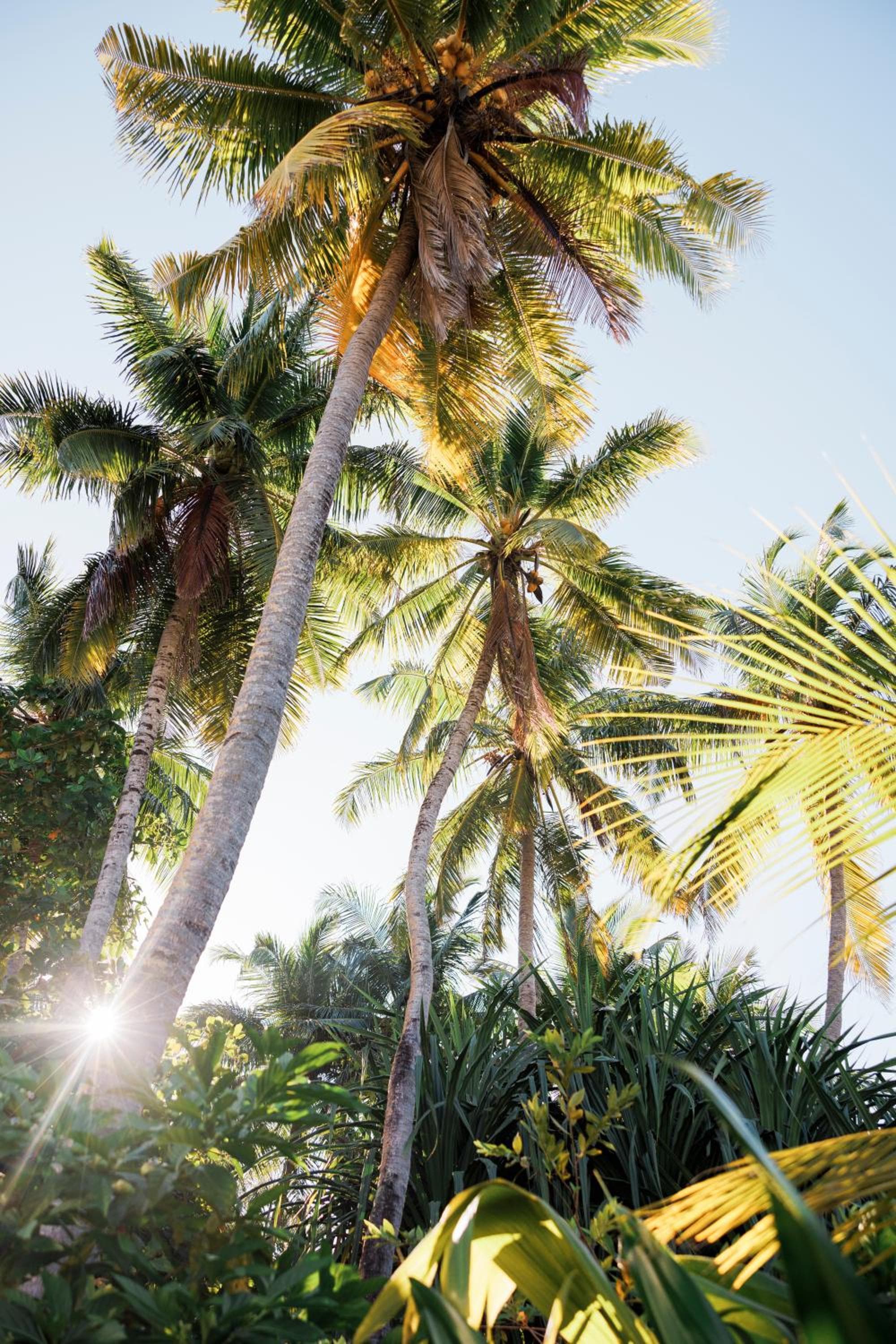 Ostrov Palm - View 41