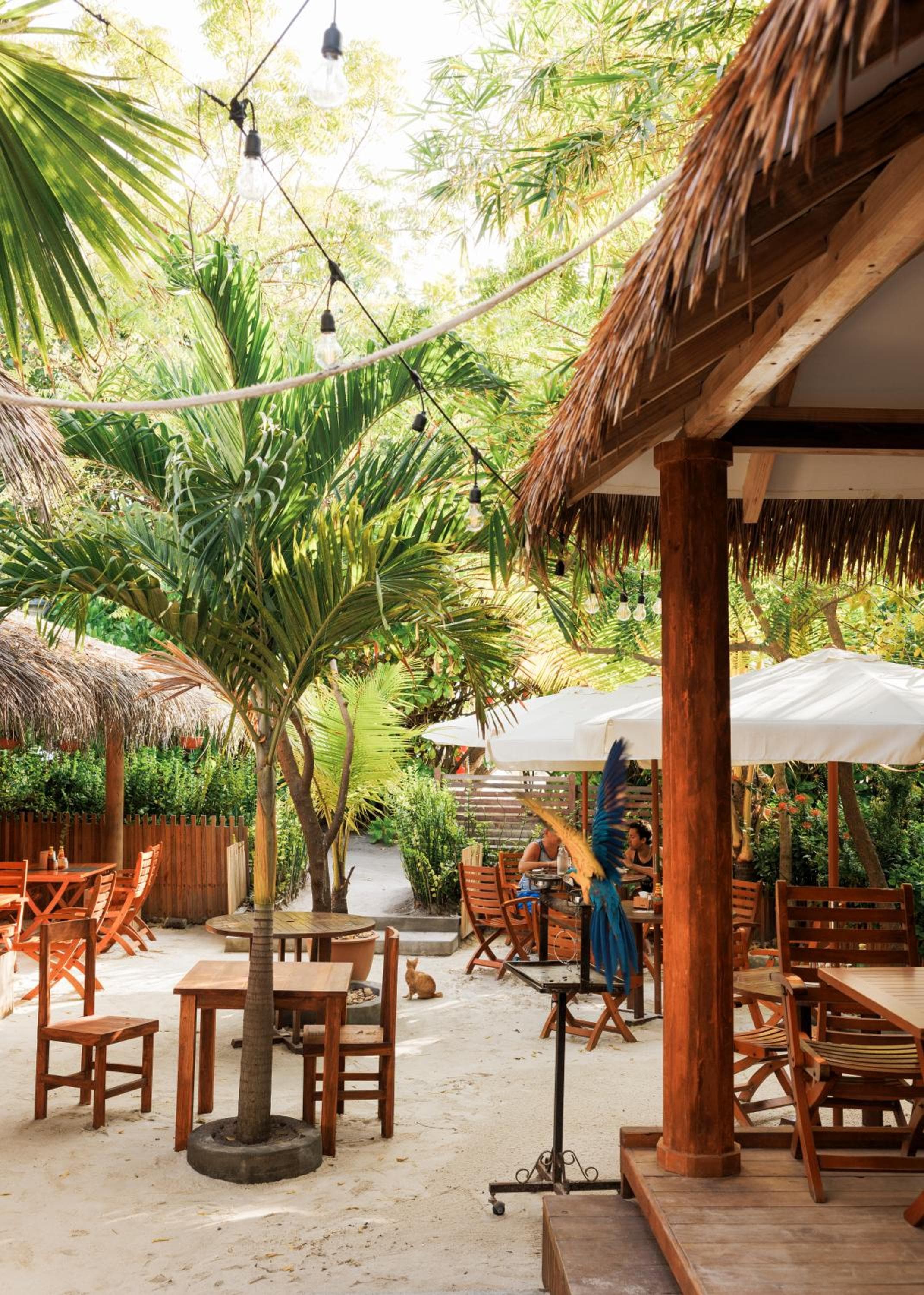 Ostrov Palm - View 43