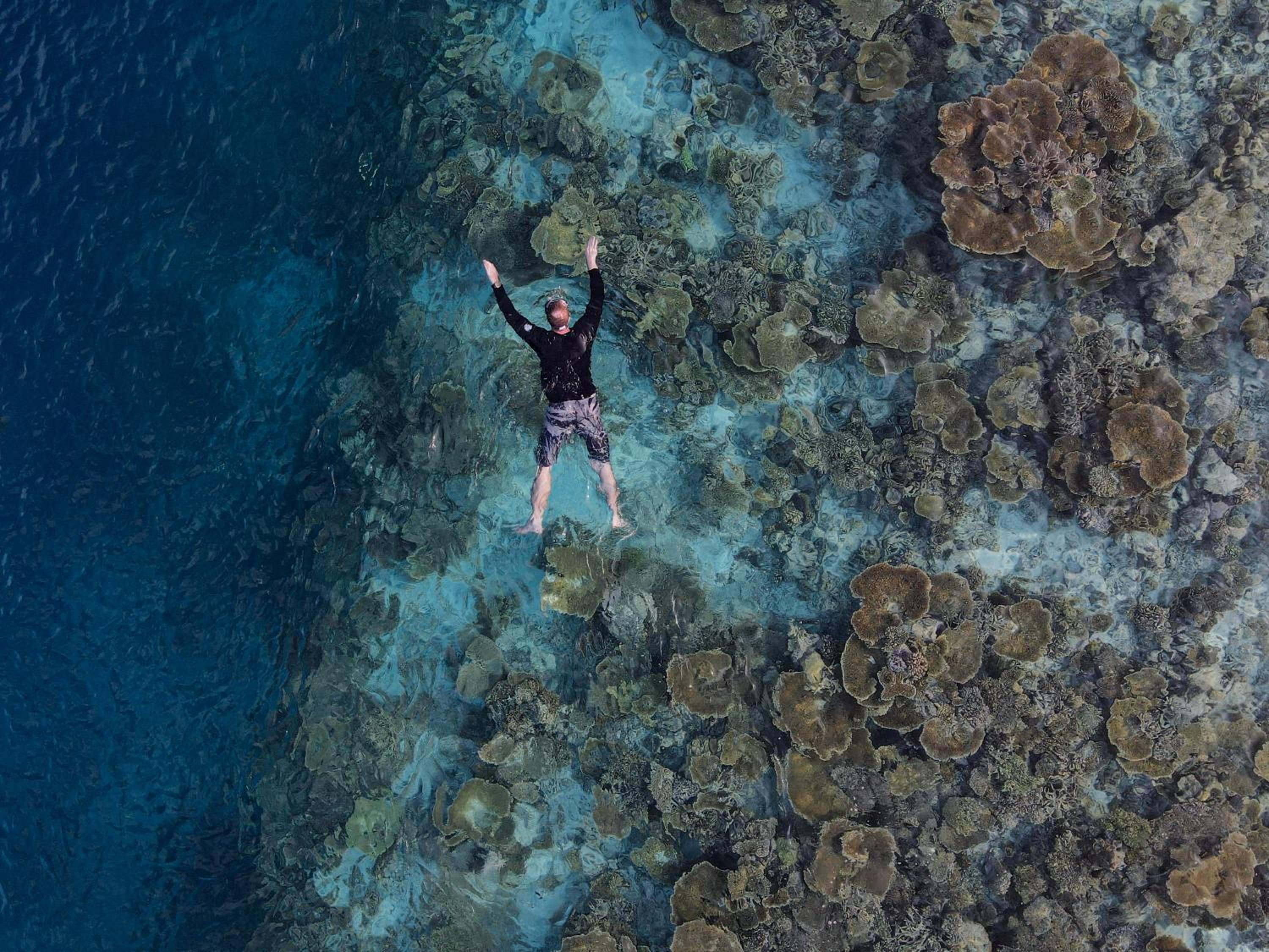 Ostrov Palm - View 36