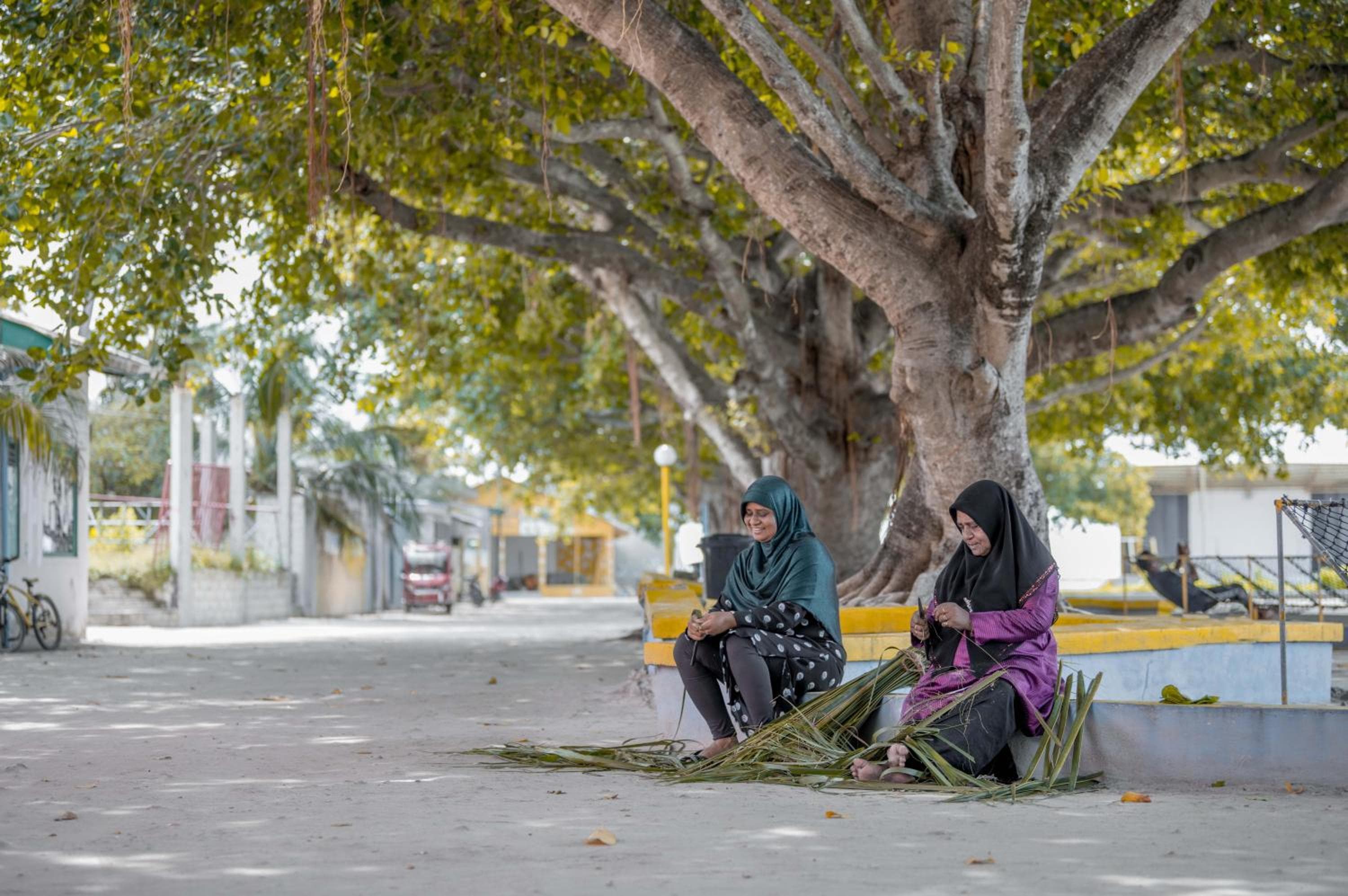 Ostrov Palm - View 30