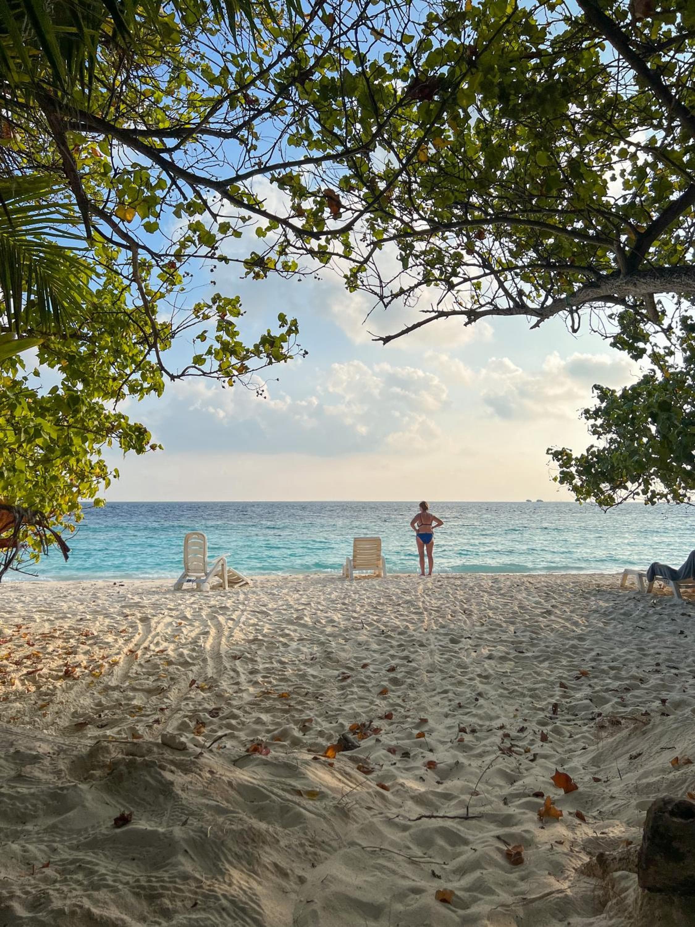 Ostrov Palm - View 16