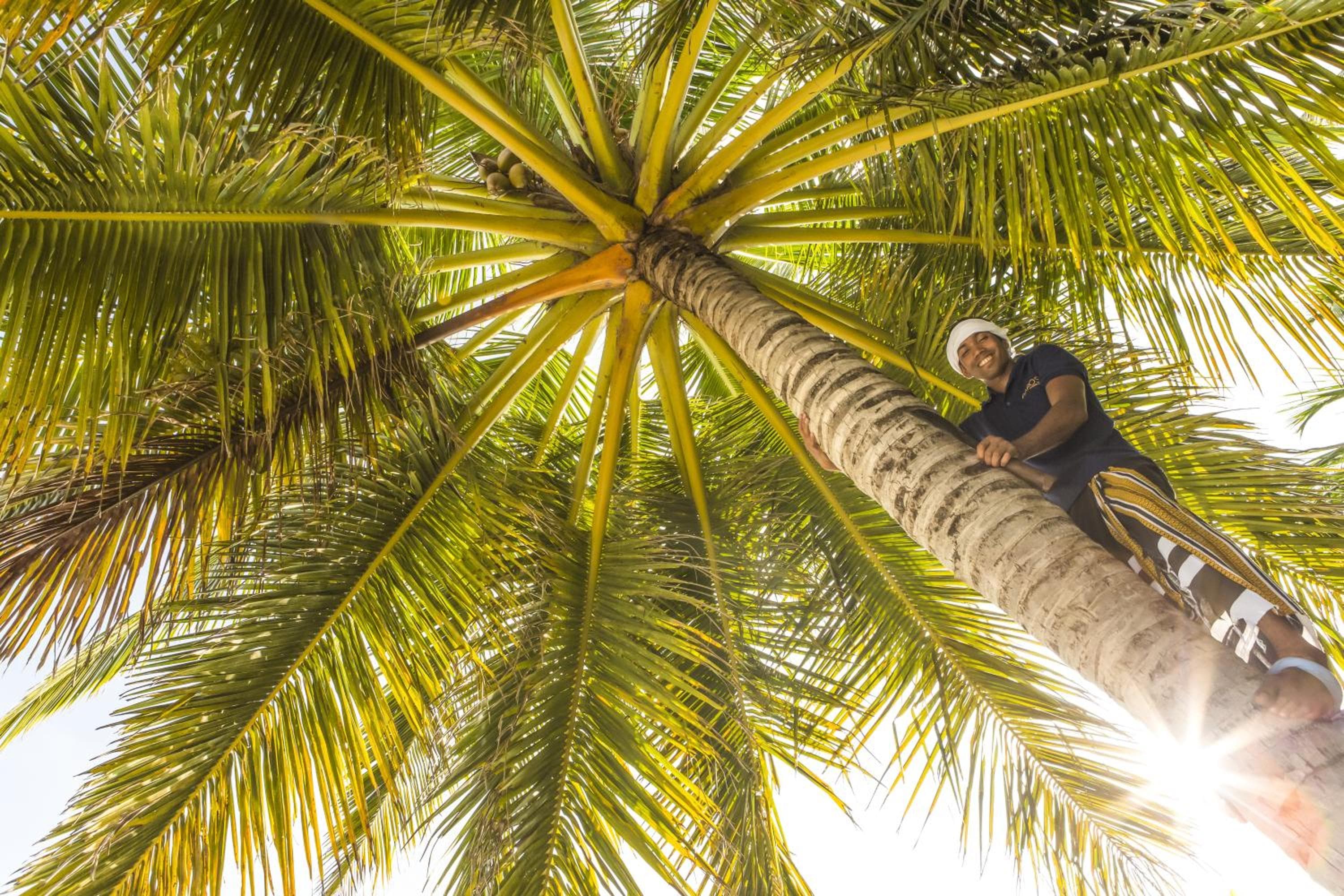 Baros Maldives - View 19