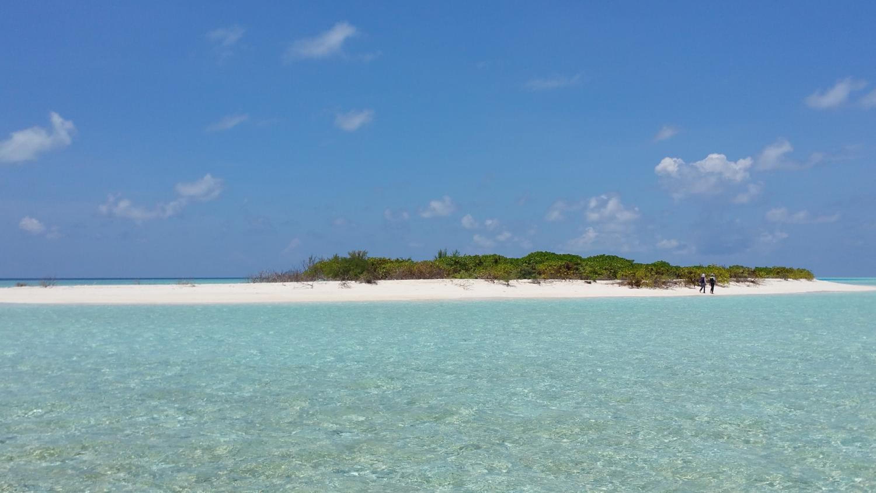 Ras Rana Lodge - View 132