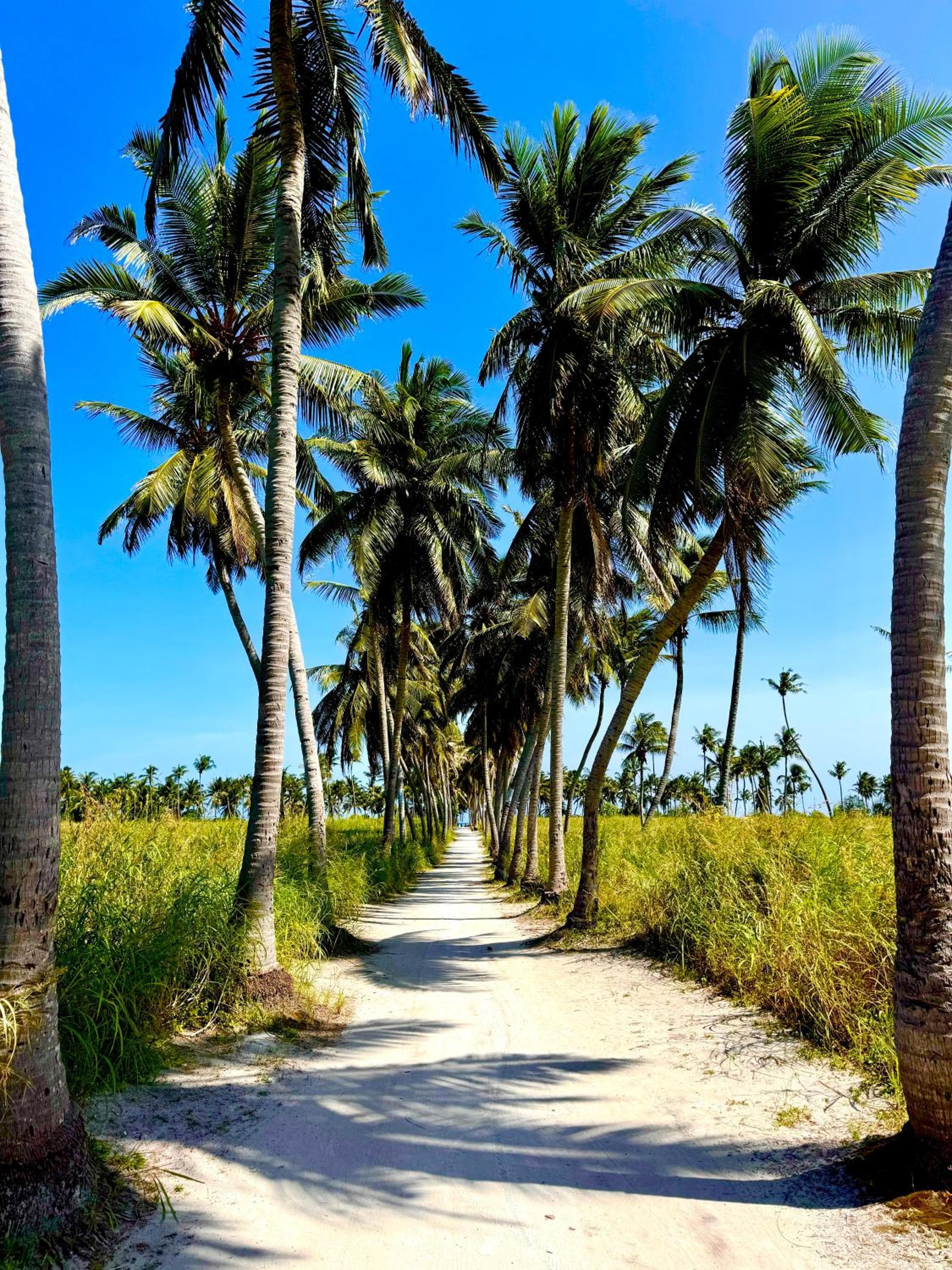 Sands Garden Hotel - View 38