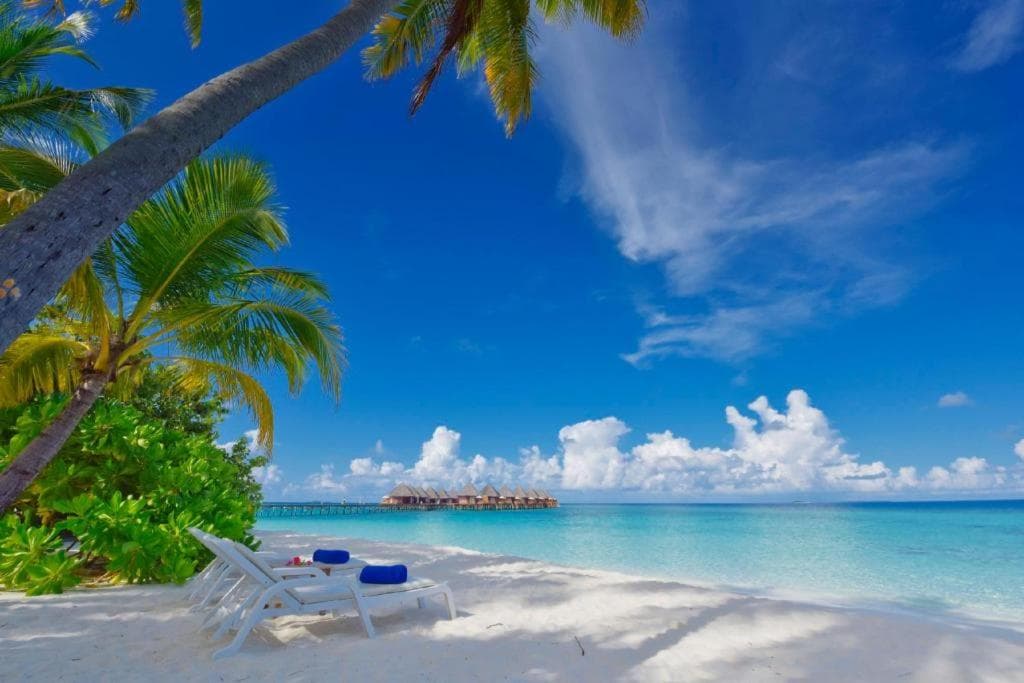 Angaga Island Resort and Spa - View 32