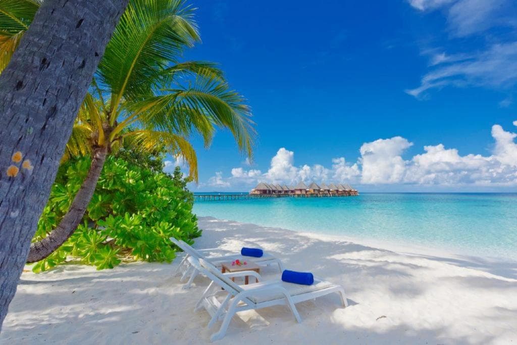 Angaga Island Resort and Spa - View 72