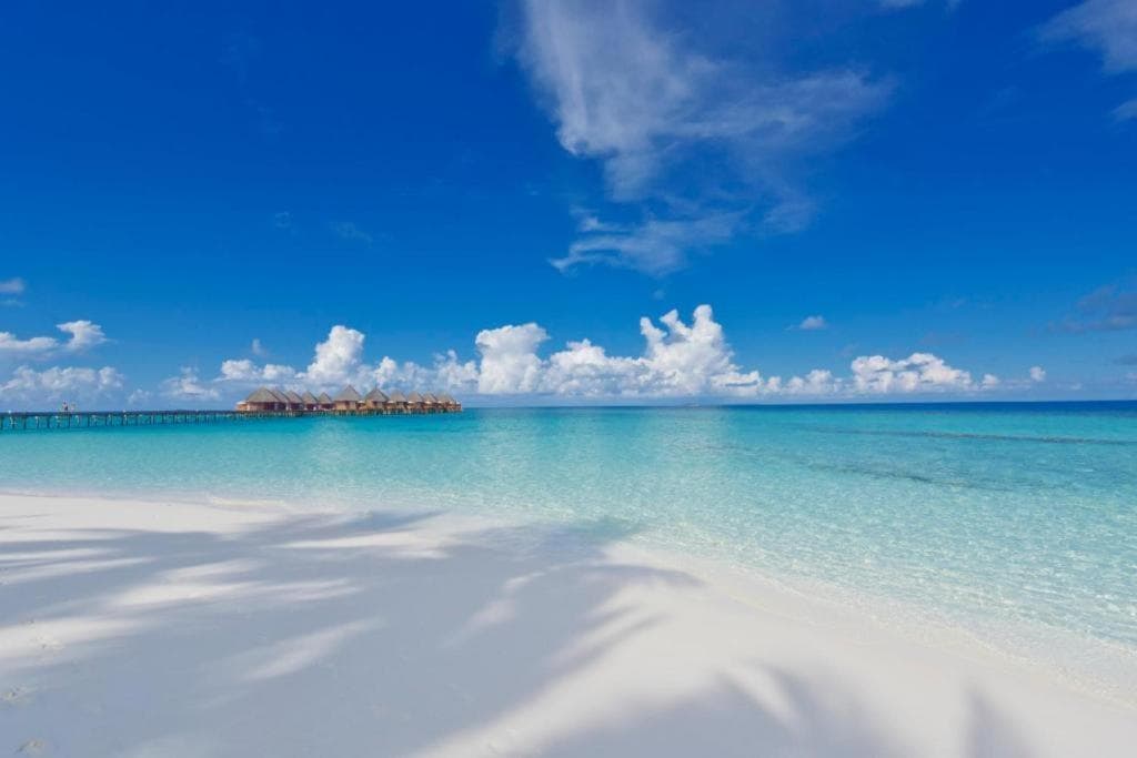 Angaga Island Resort and Spa - View 57