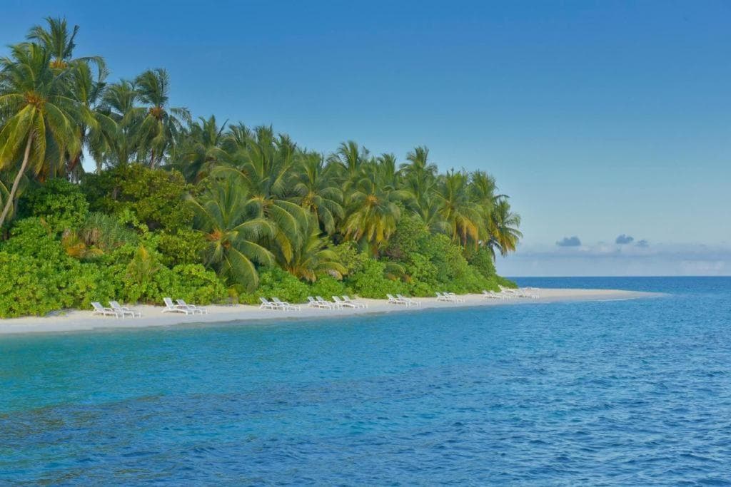 Angaga Island Resort and Spa - View 32