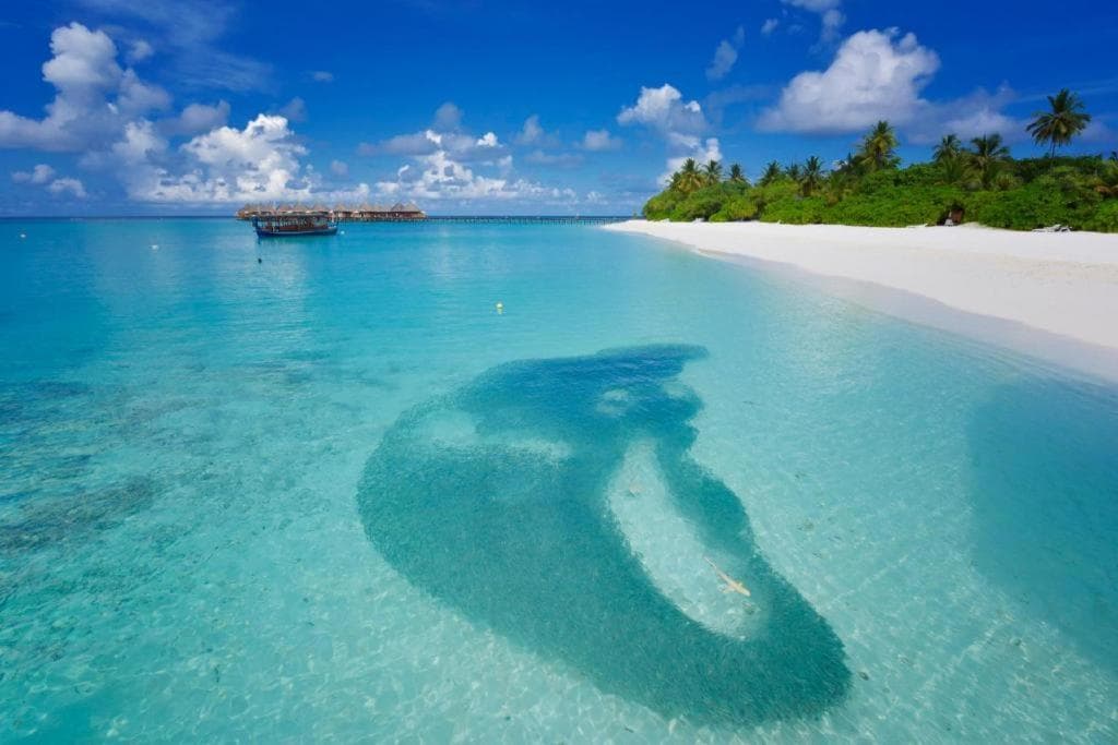 Angaga Island Resort and Spa - View 16