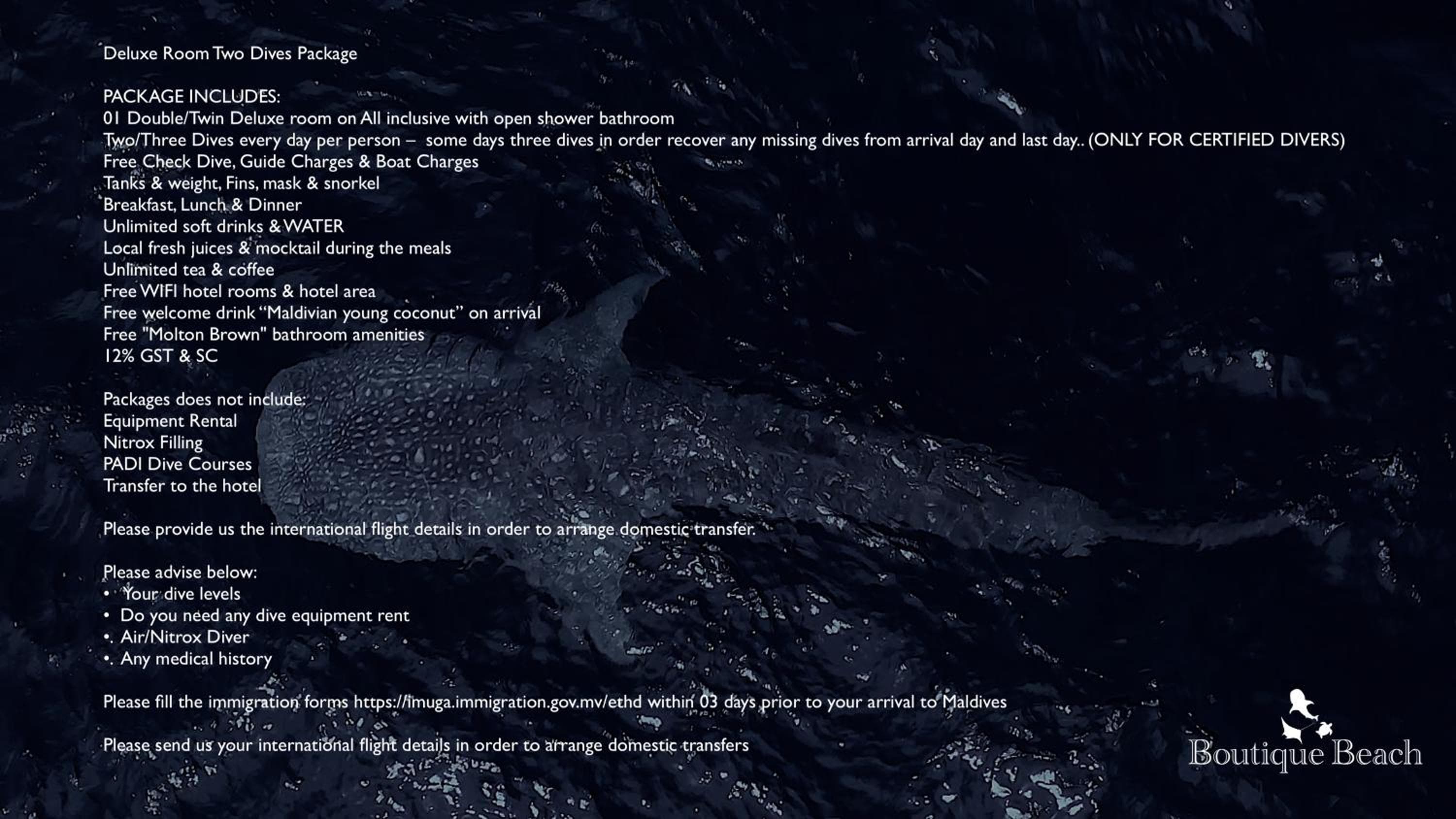 Boutique Beach All Inclusive Diving Hotel - View 26