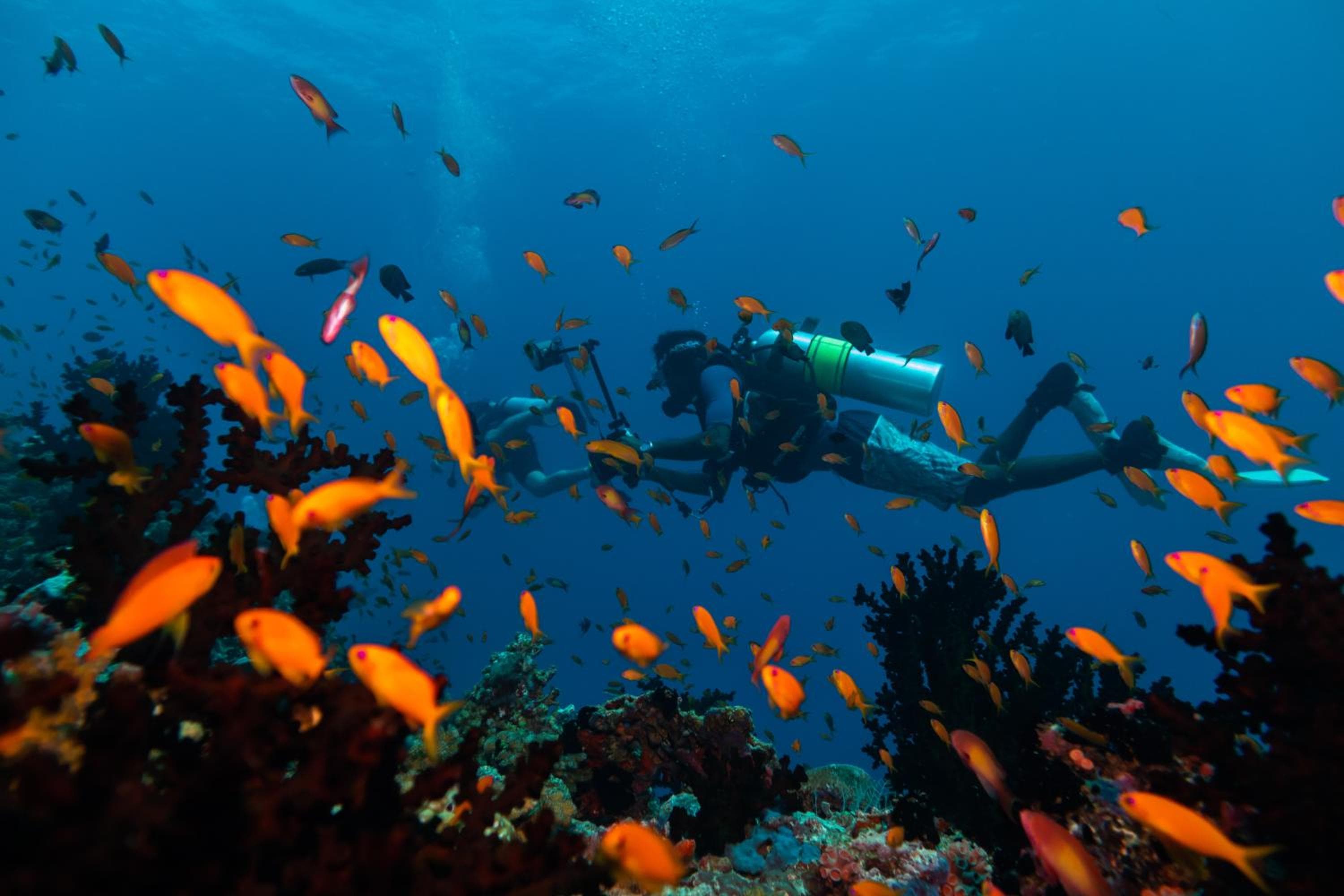 Kuredhivaru Resort and Spa - Maldives - View 126