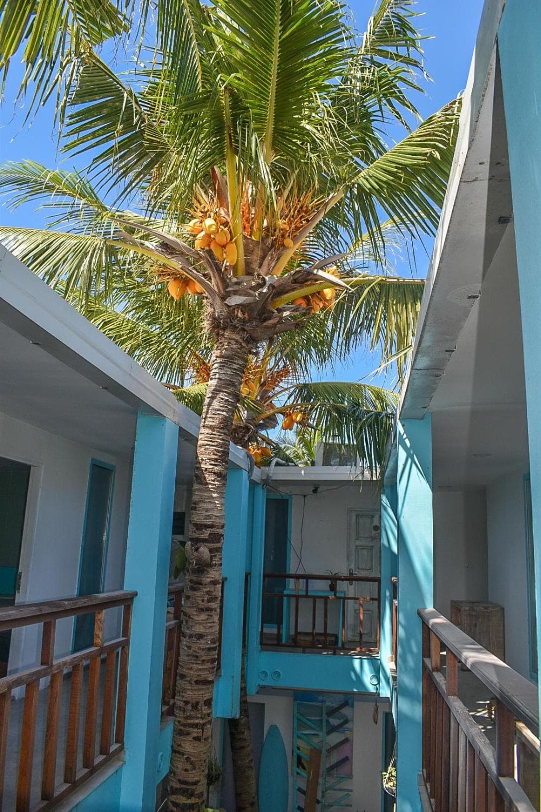 Azaya Beach Maldives Thulusdhoo - View 5