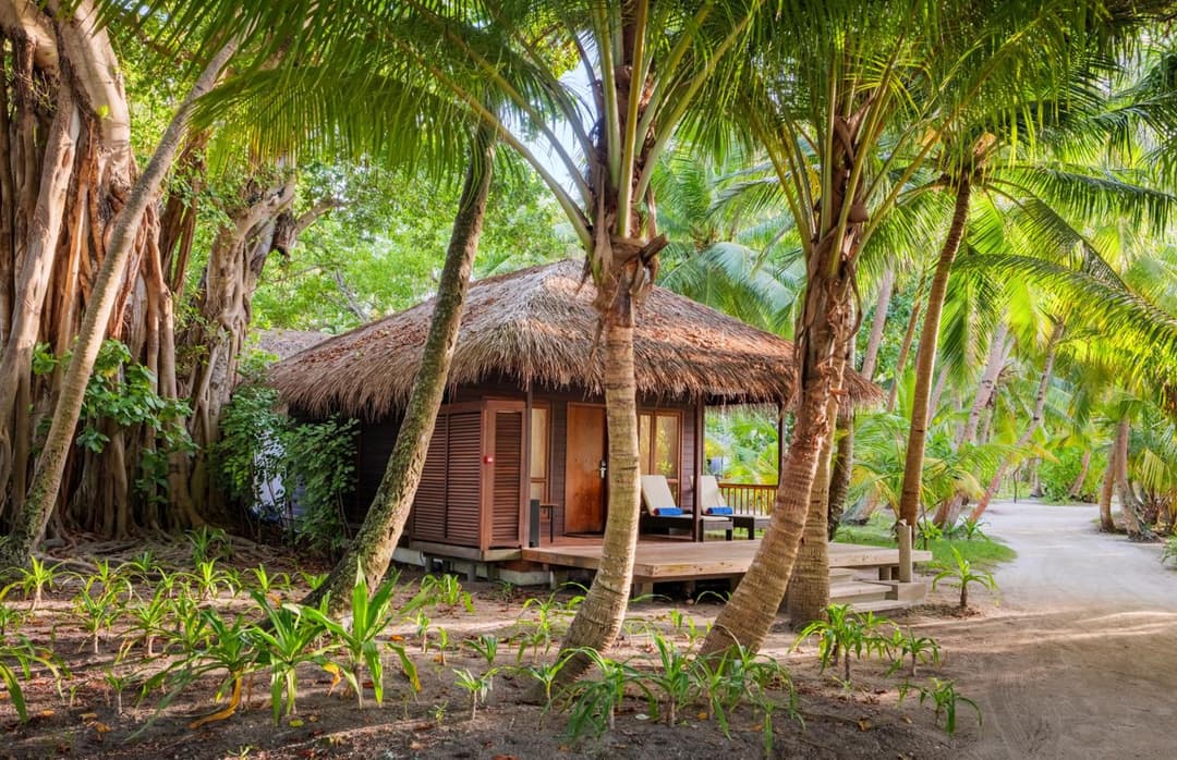 Niva Kuramathi Maldives - View 14