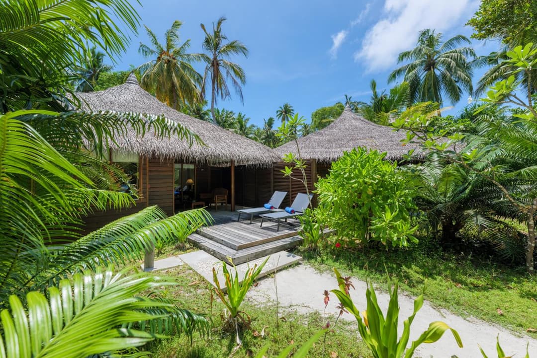 Niva Kuramathi Maldives - View 6