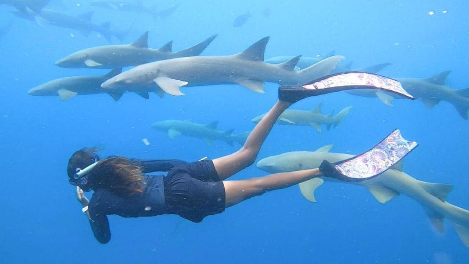 Crown Beach Villas with direct access to the Bikini Beach - View 38