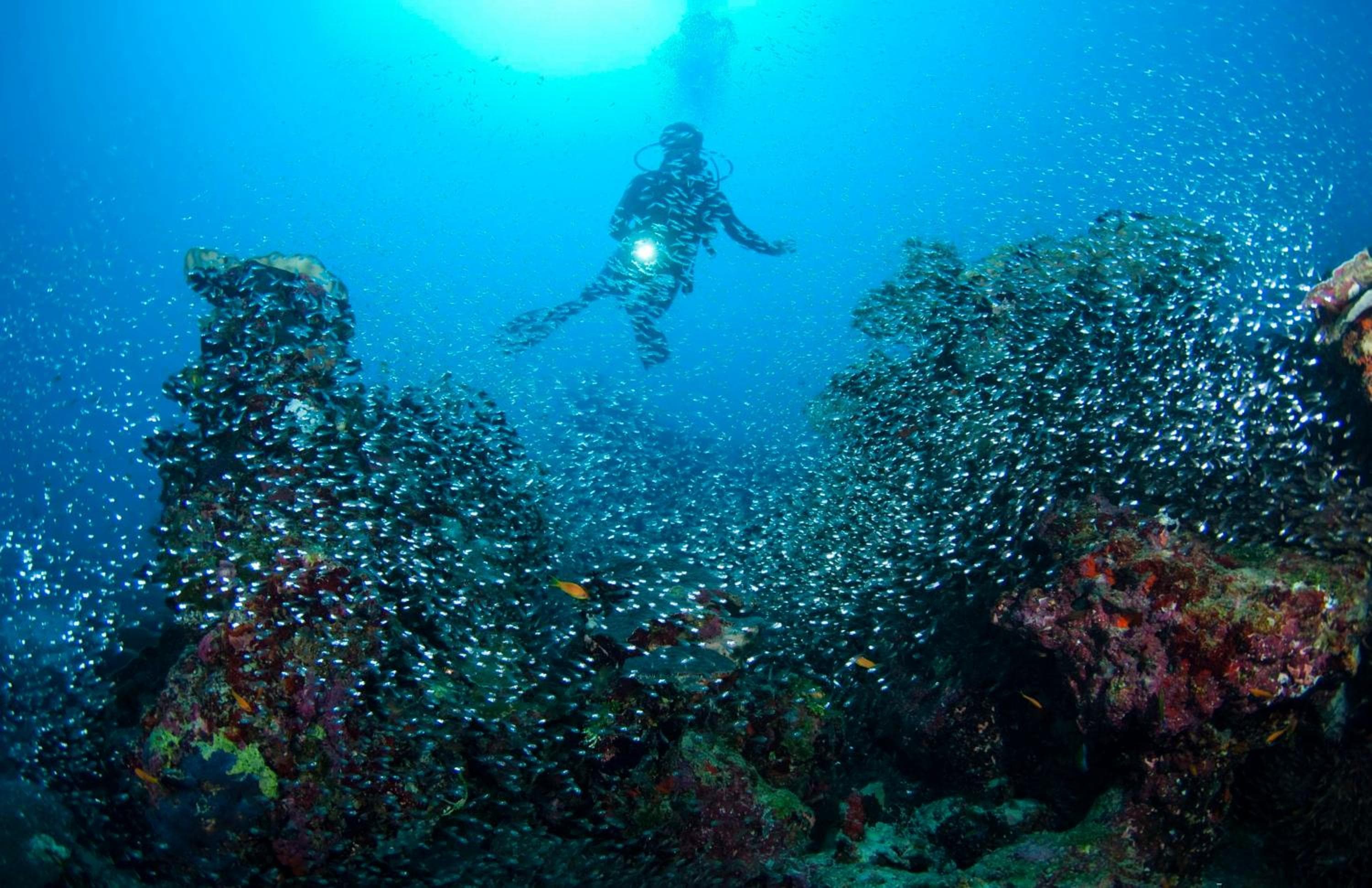 Park Hyatt Maldives Hadahaa - View 10