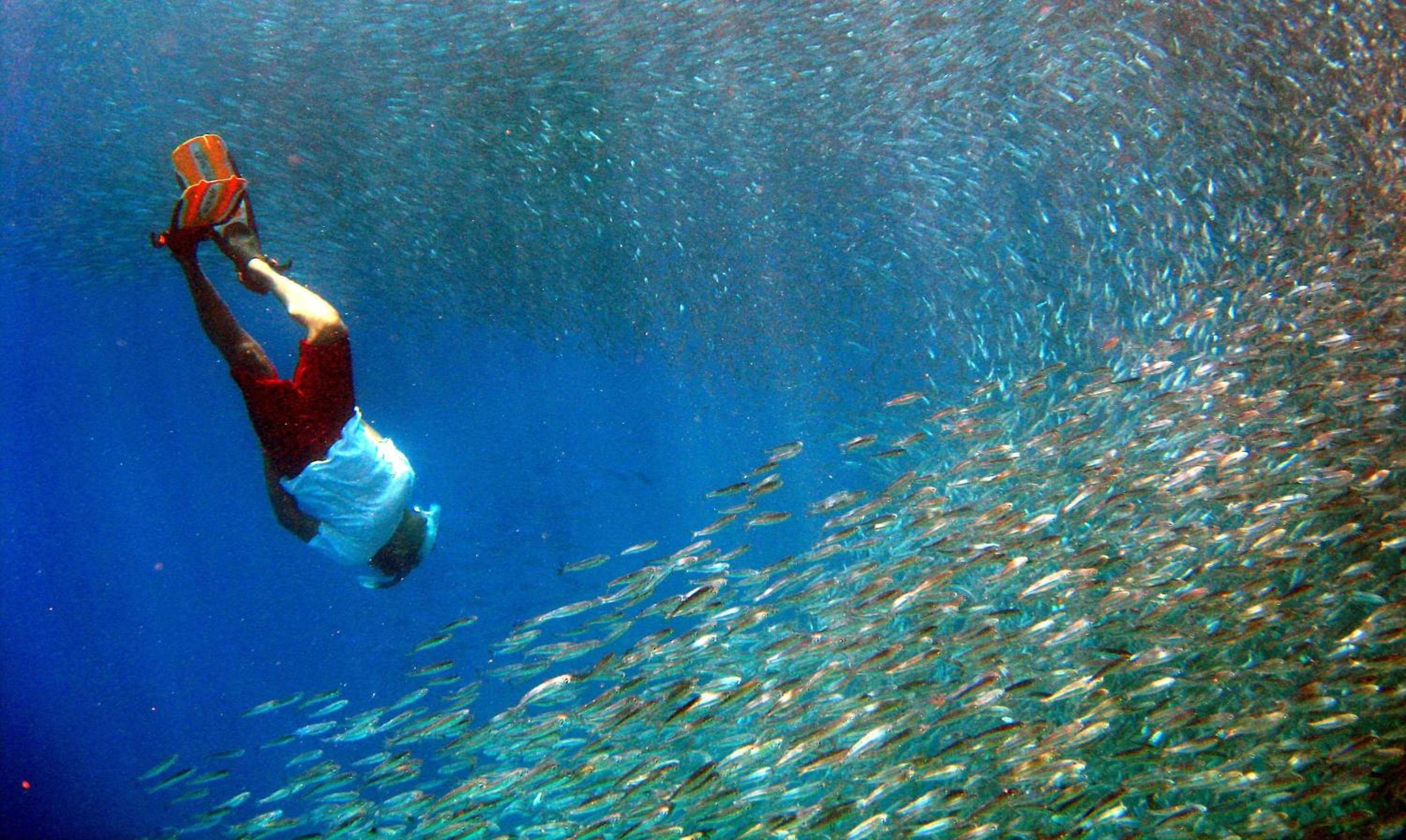 Park Hyatt Maldives Hadahaa - View 46