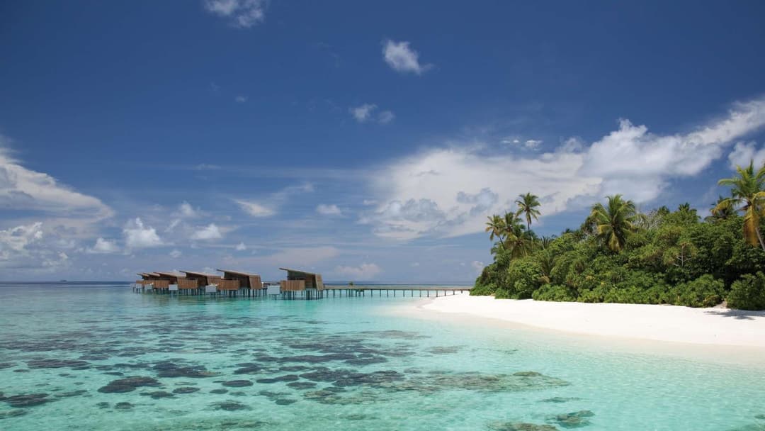 Park Hyatt Maldives Hadahaa - View 43