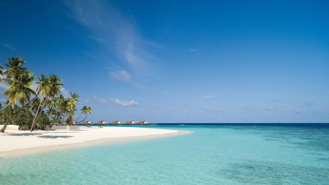 Park Hyatt Maldives Hadahaa - View 186