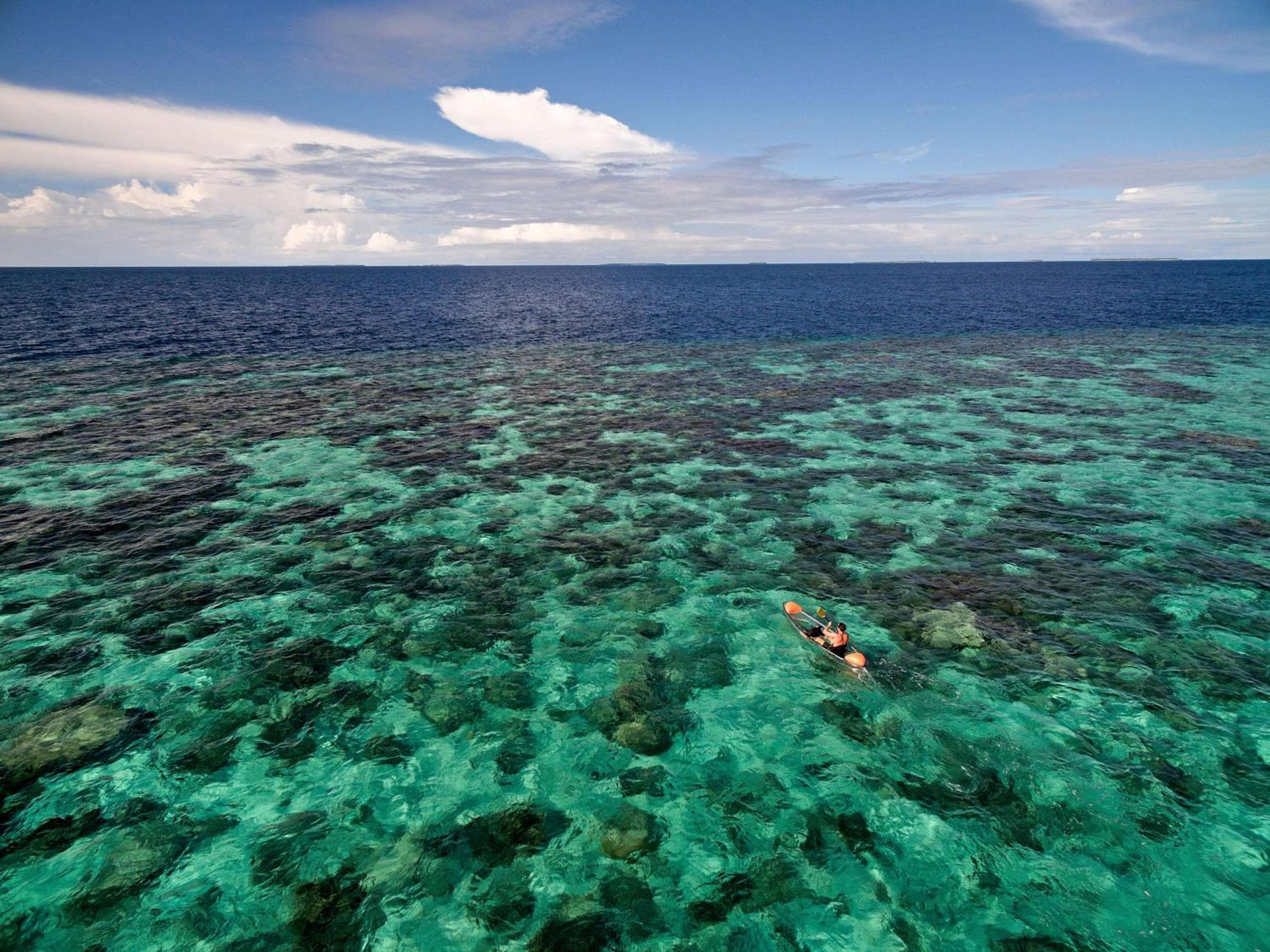 Park Hyatt Maldives Hadahaa - View 83