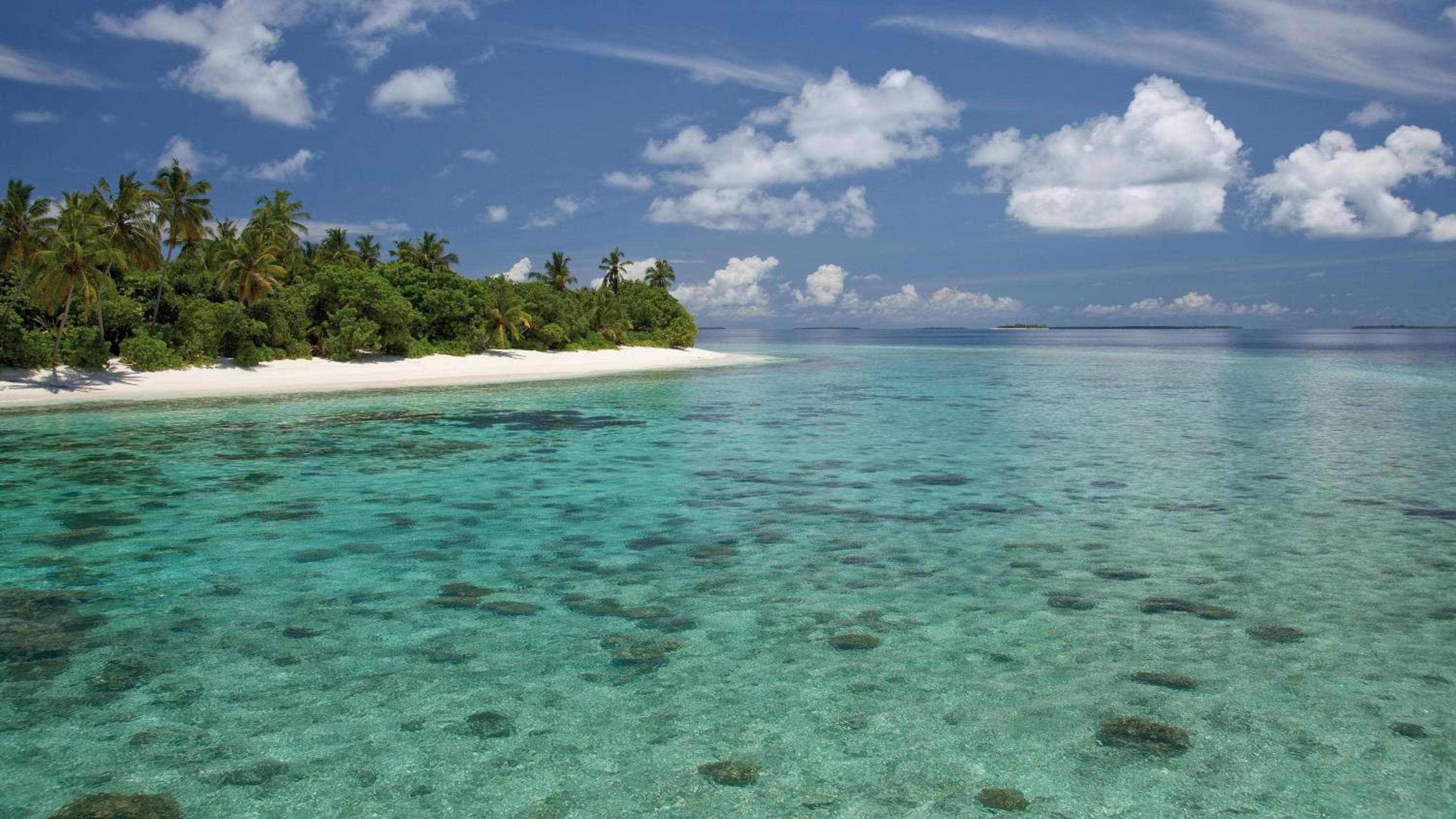 Park Hyatt Maldives Hadahaa - View 88