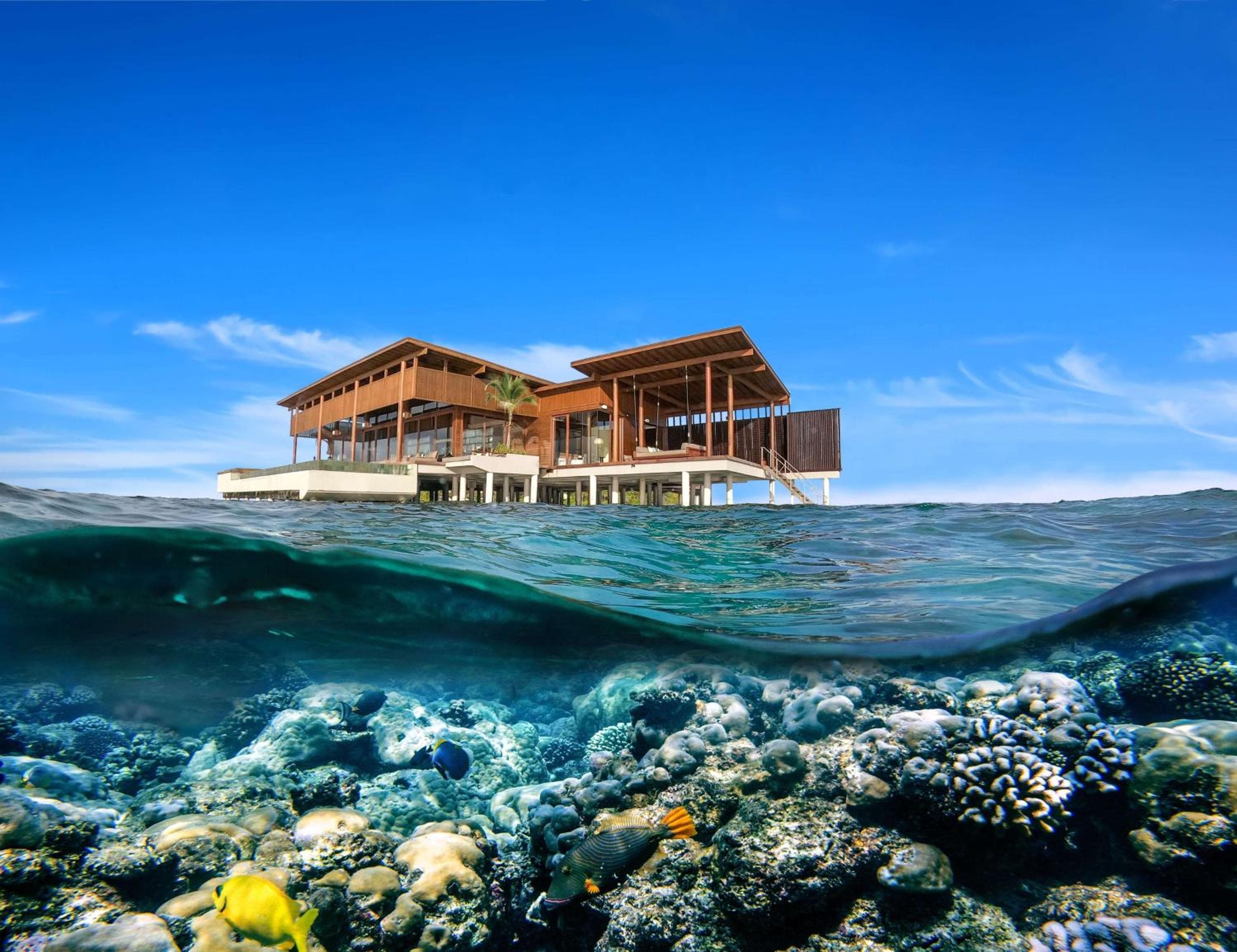 Park Hyatt Maldives Hadahaa - View 231