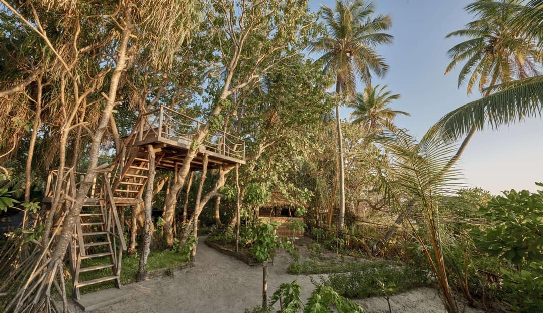 Park Hyatt Maldives Hadahaa - View 68