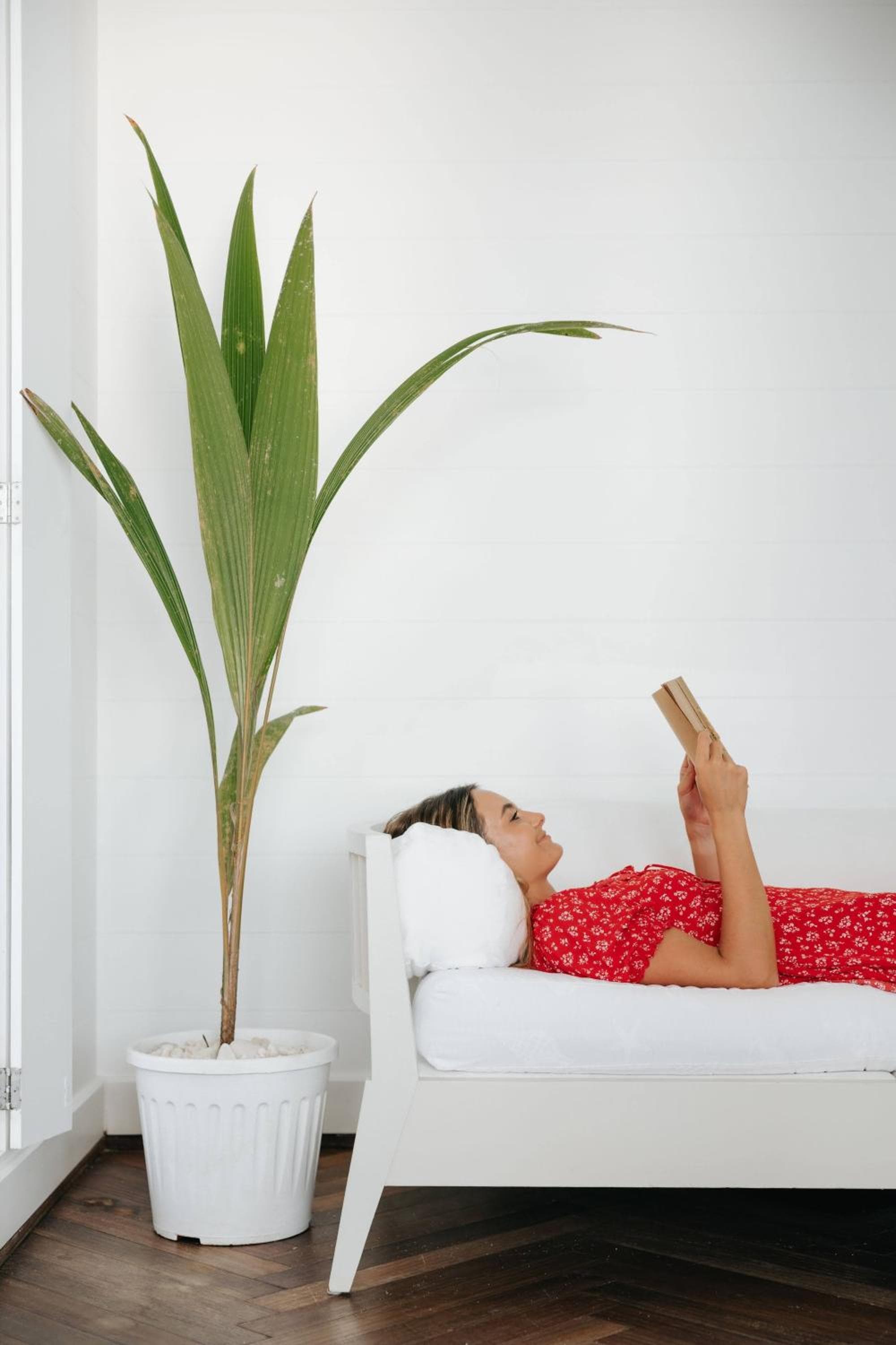 Diamonds Thudufushi Maldives Resort & Spa - View 109