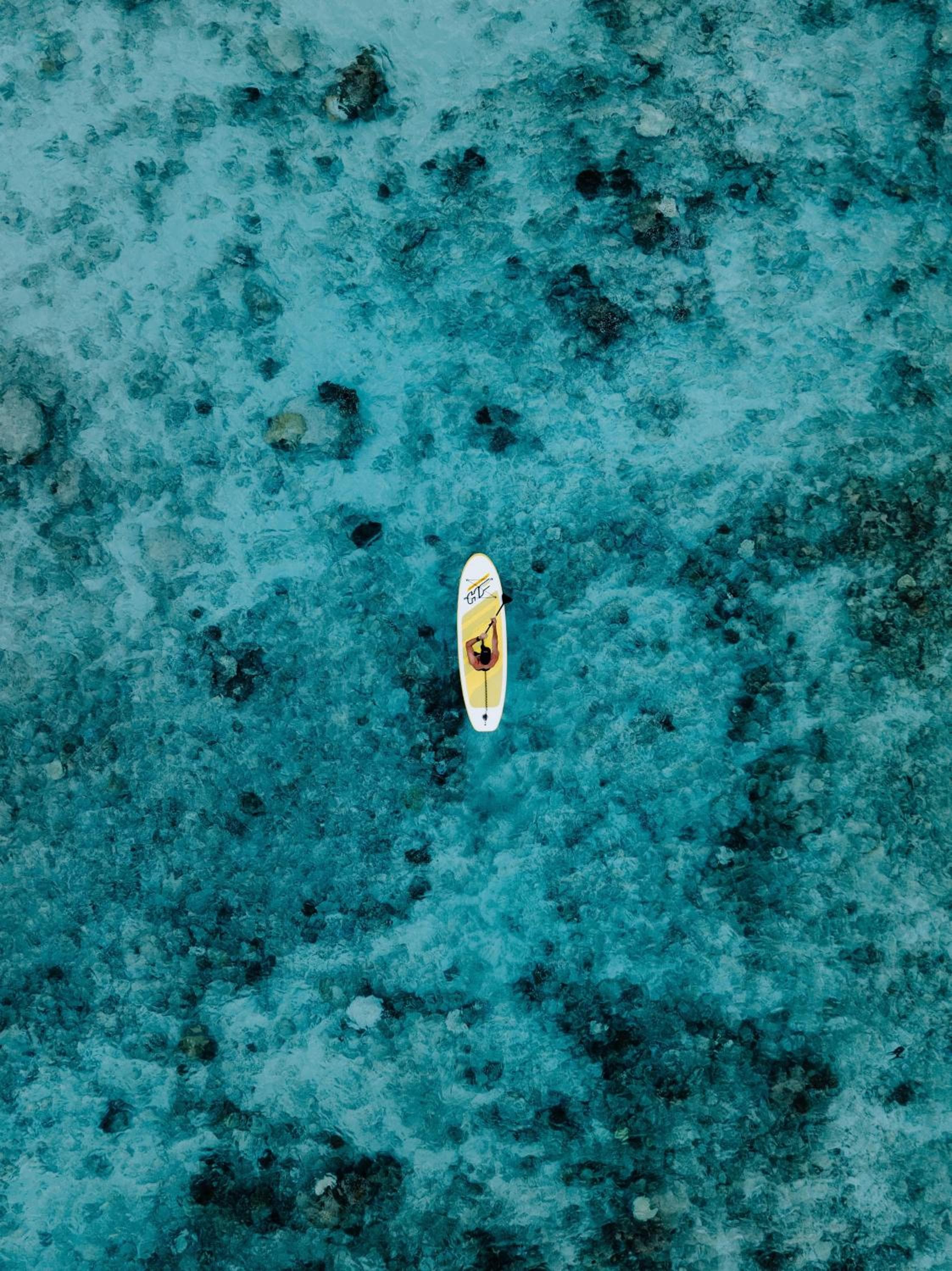 Diamonds Thudufushi Maldives Resort & Spa - View 118