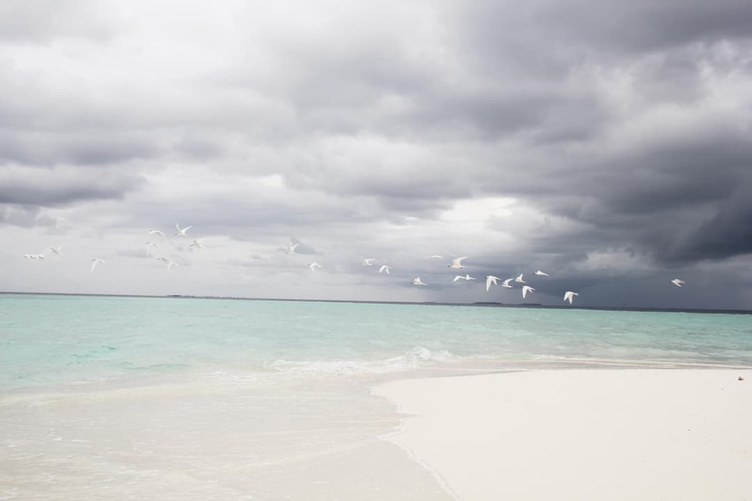Kaafu Inn Guraidhoo - View 20