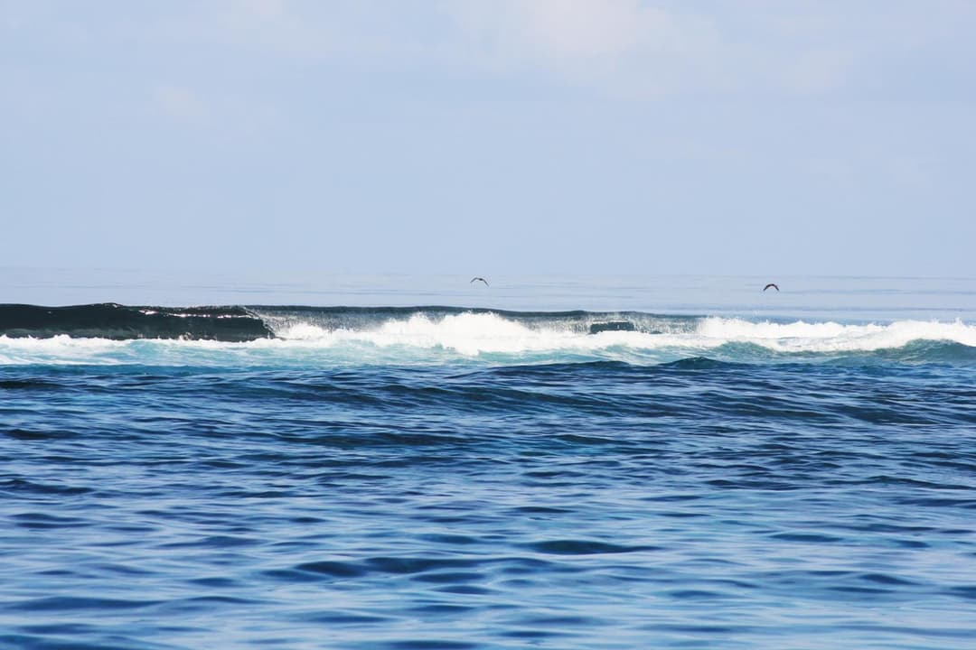 Kaafu Inn Guraidhoo - View 90