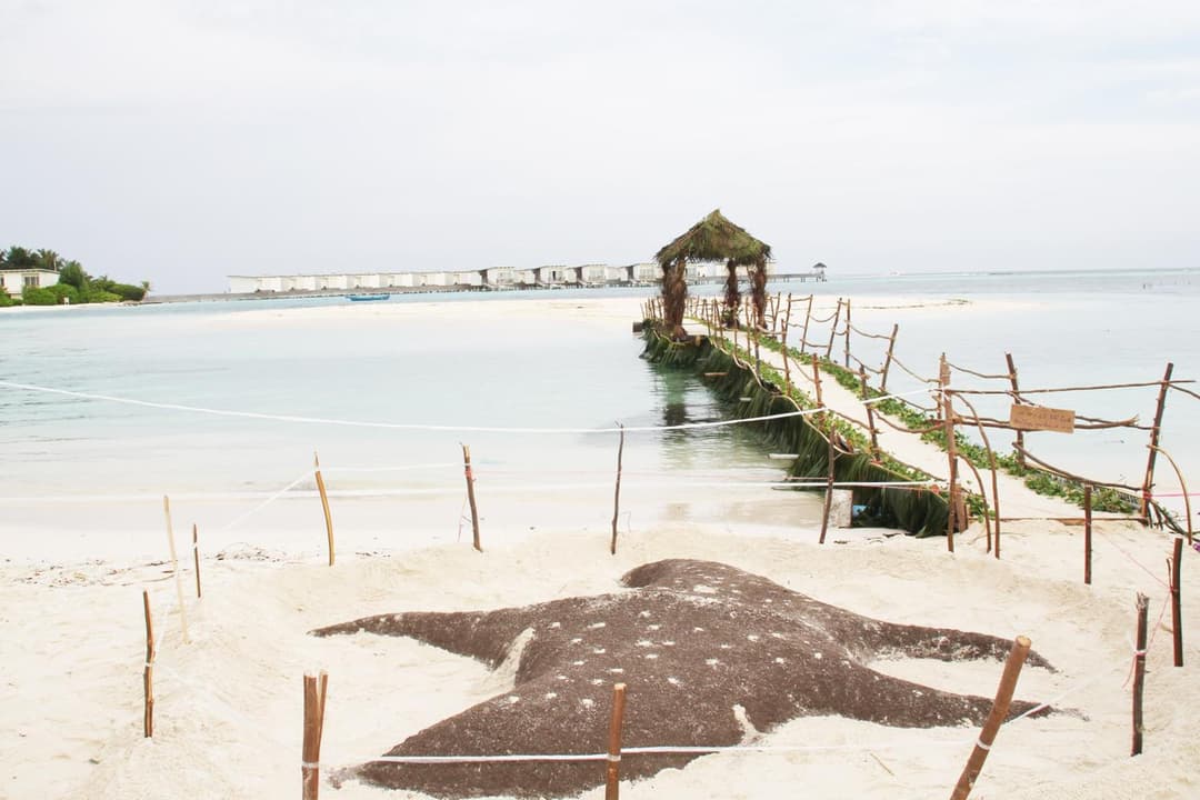 Kaafu Inn Guraidhoo - View 92
