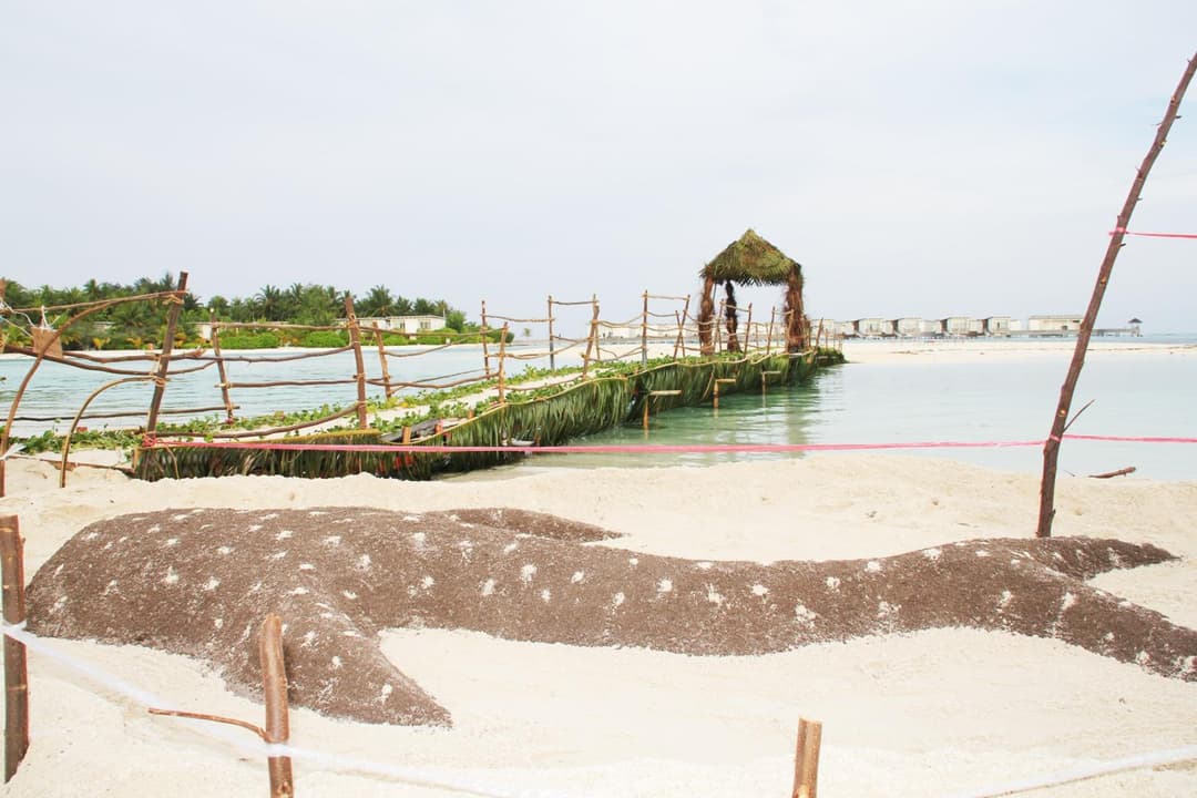 Kaafu Inn Guraidhoo - View 31