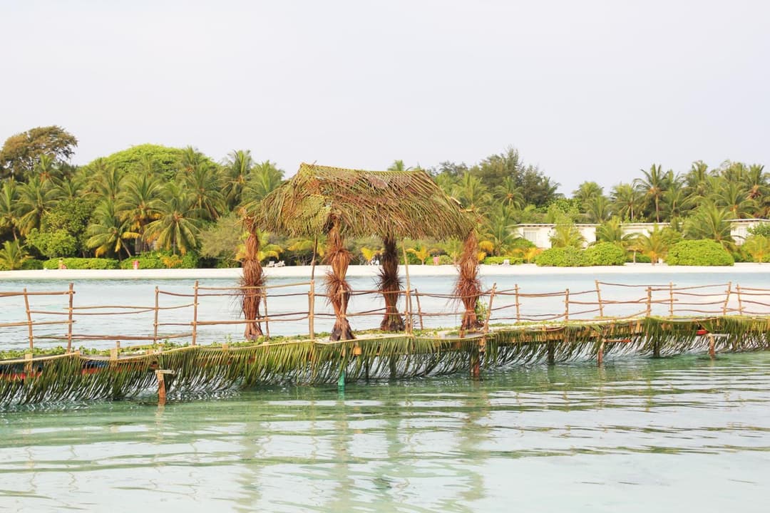 Kaafu Inn Guraidhoo - View 23