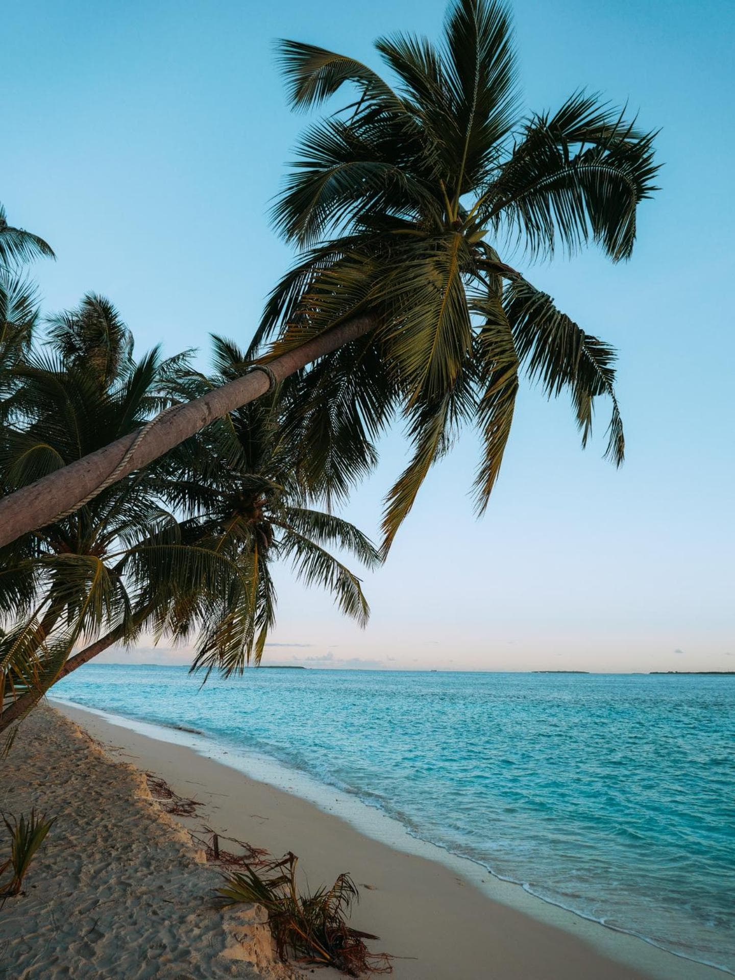 Thundi Village & Spa - View 86