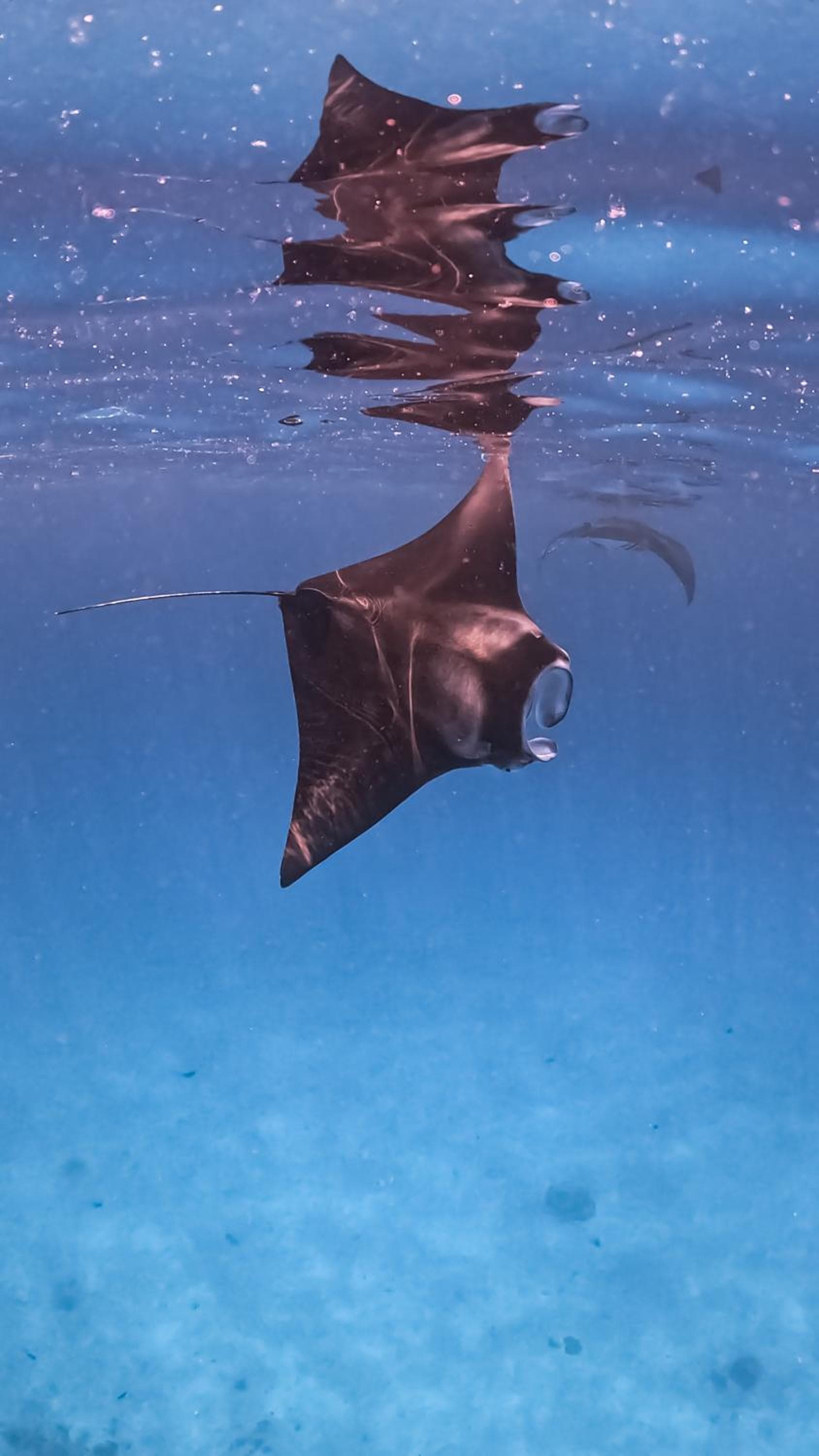 Sands Grand - View 17