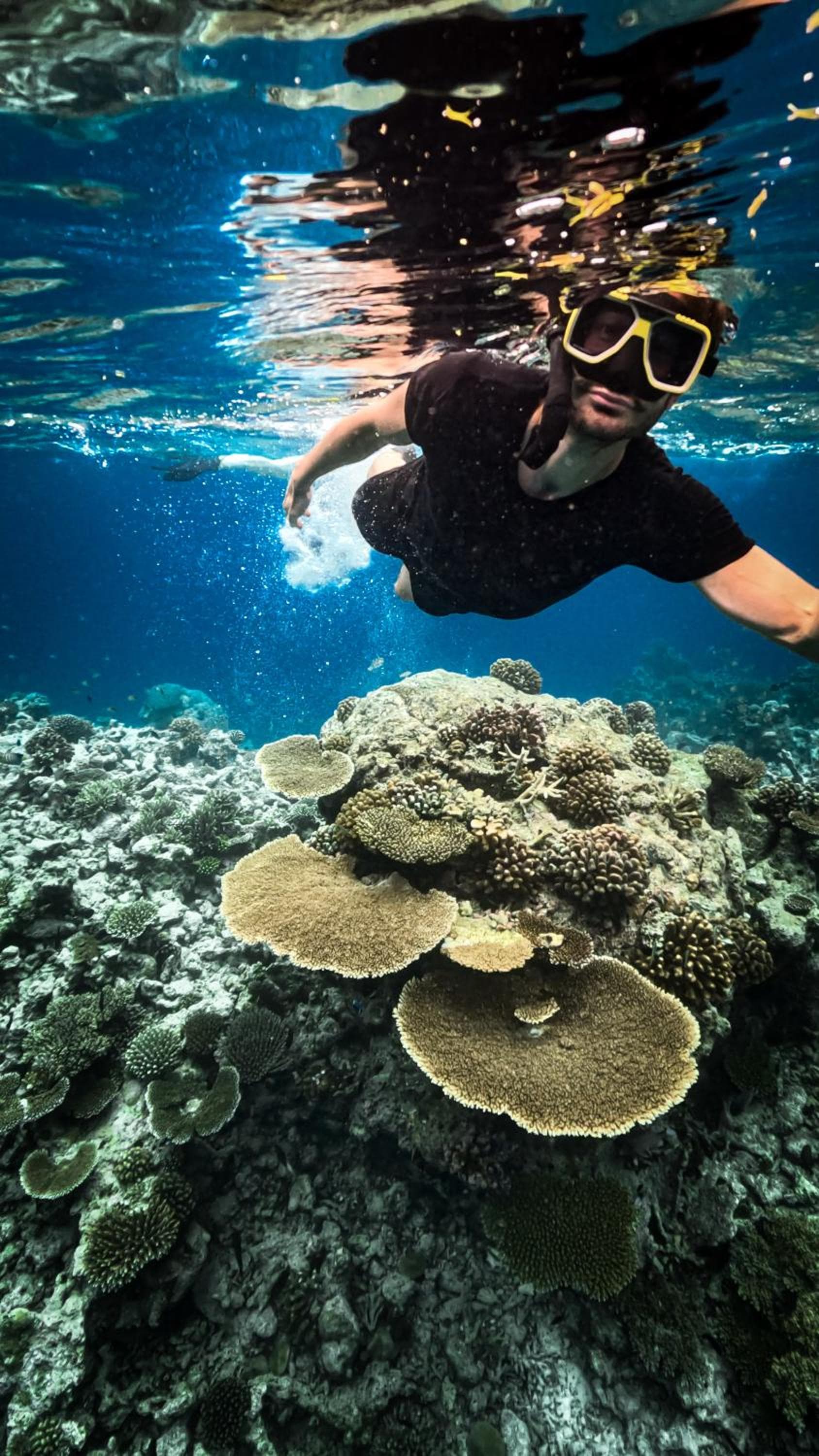 Sands Grand - View 46